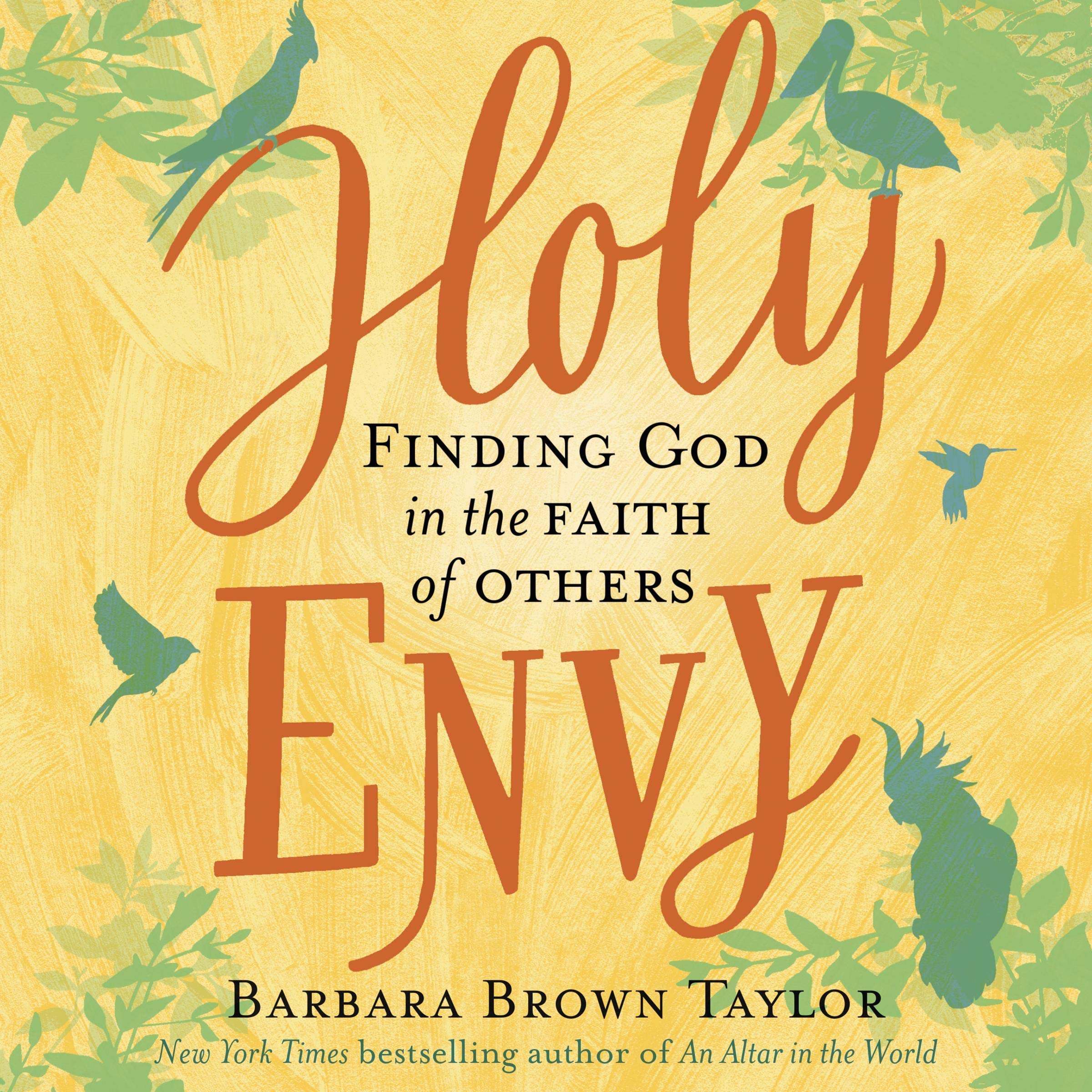 Cover art for Holy Envy