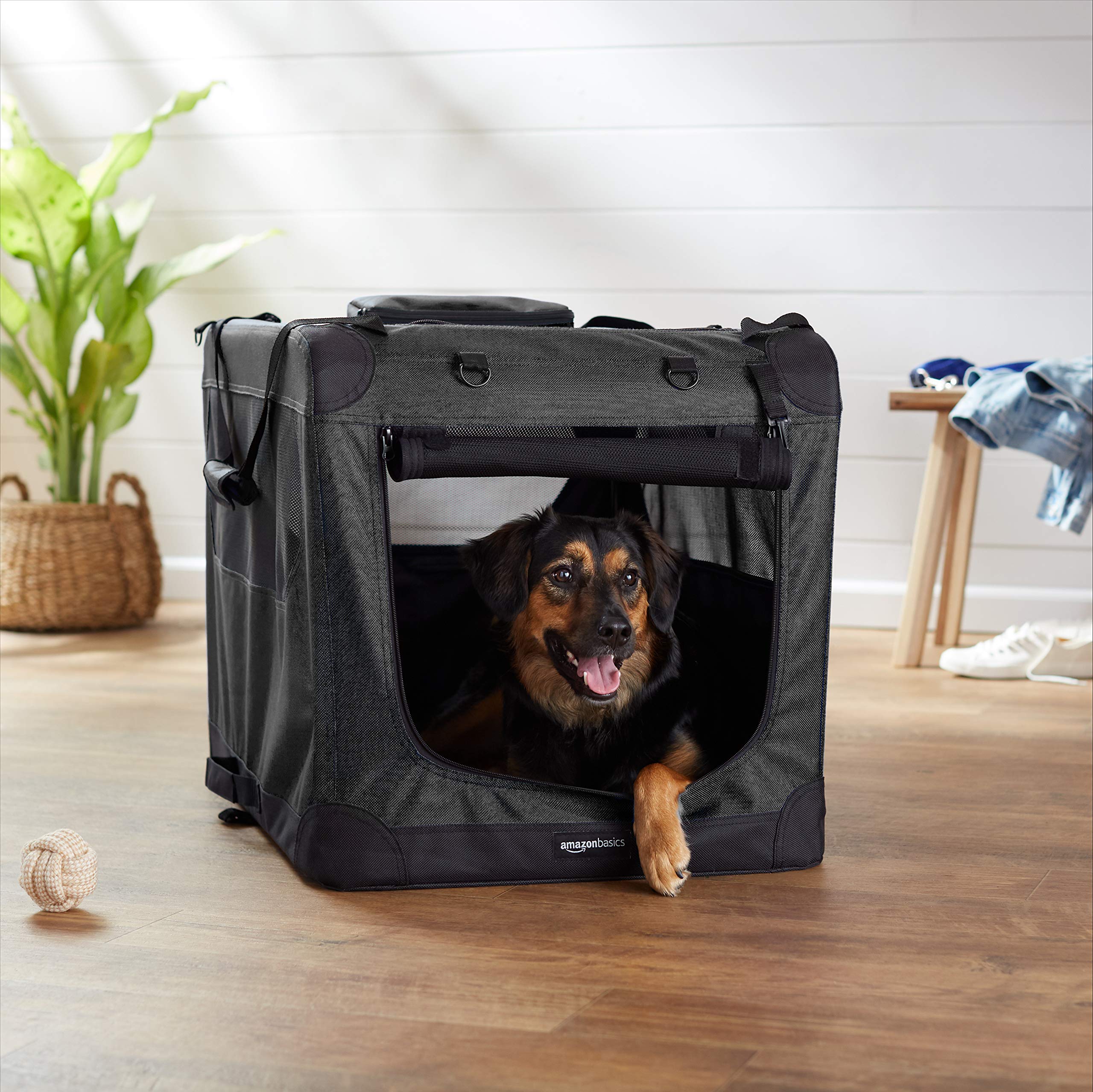 Amazon Basics Folding Portable Soft Pet Dog Crate Carrier Kennel - 30 x 21 x 21 Inches, Black