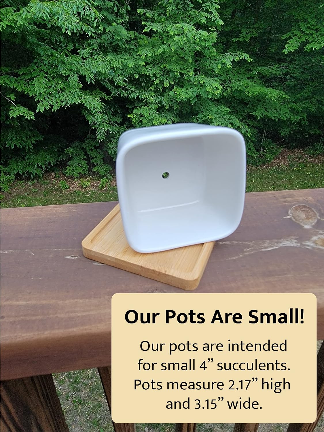 Square Succulent Pots, Small Funny Plant Pot With Tray, Cute Cactus ...