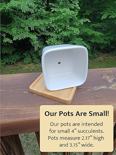 Miniatura 2 de Square Succulent Pots, Small Funny Plant Pot With Tray, Cute Cactus Planter With Drainage Hole, Housewarming Gift, Punny Succulent Pots, I Soiled