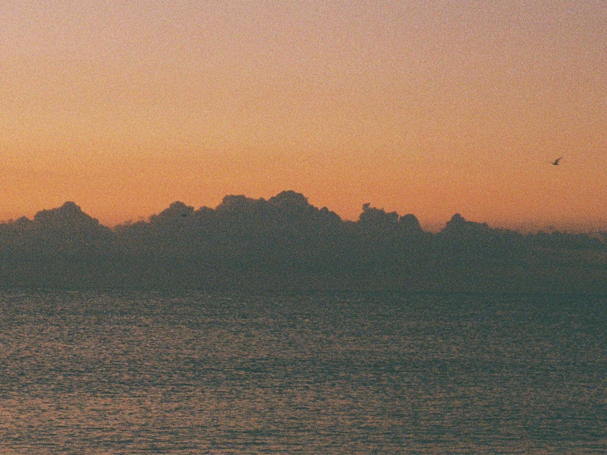 Marta Cascales Alimbau