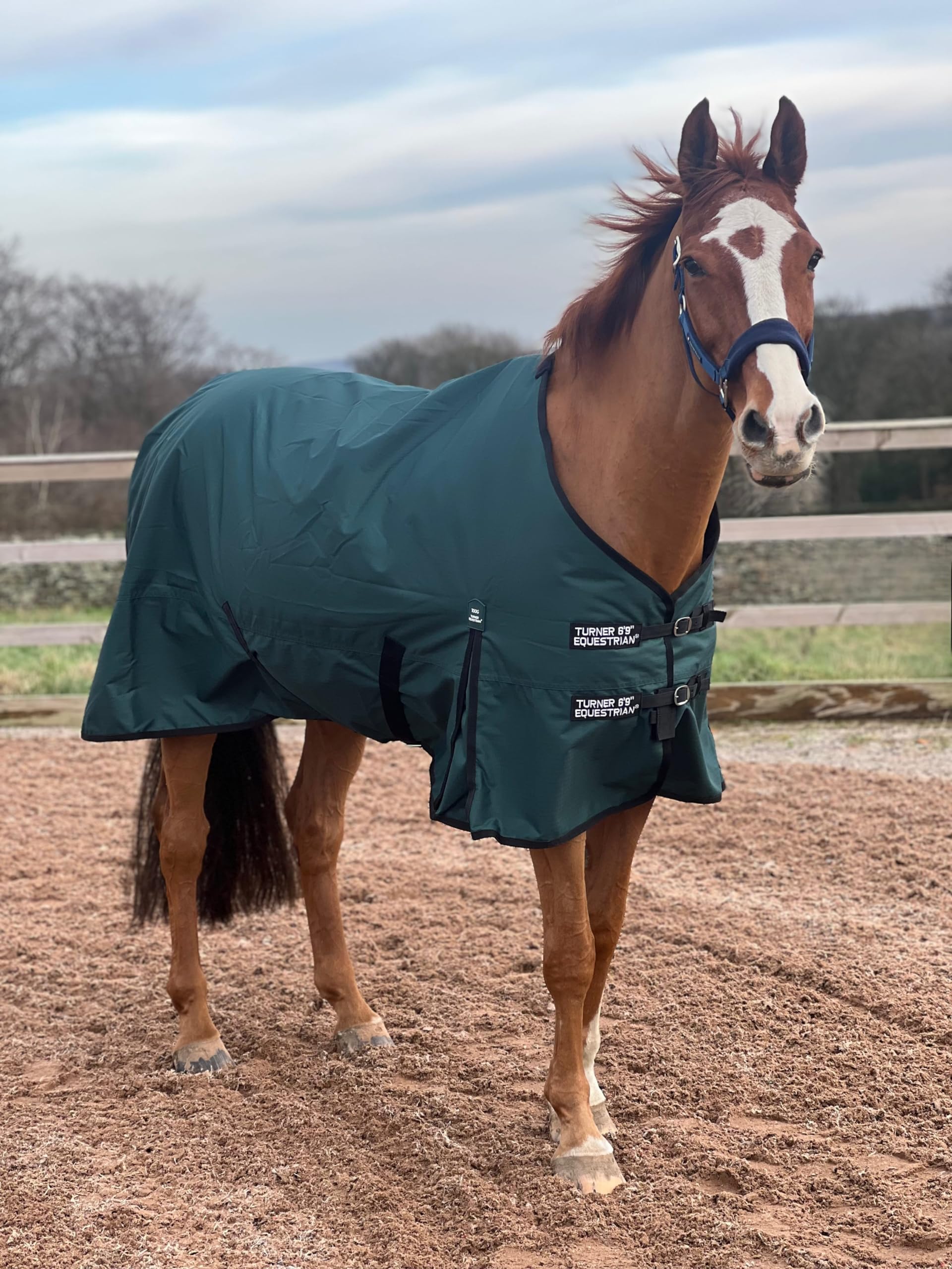 Turner Equestrian 600d Lightweight Waterproof Horse Turnout Rug 100g Fill Standard Neck (6'9")