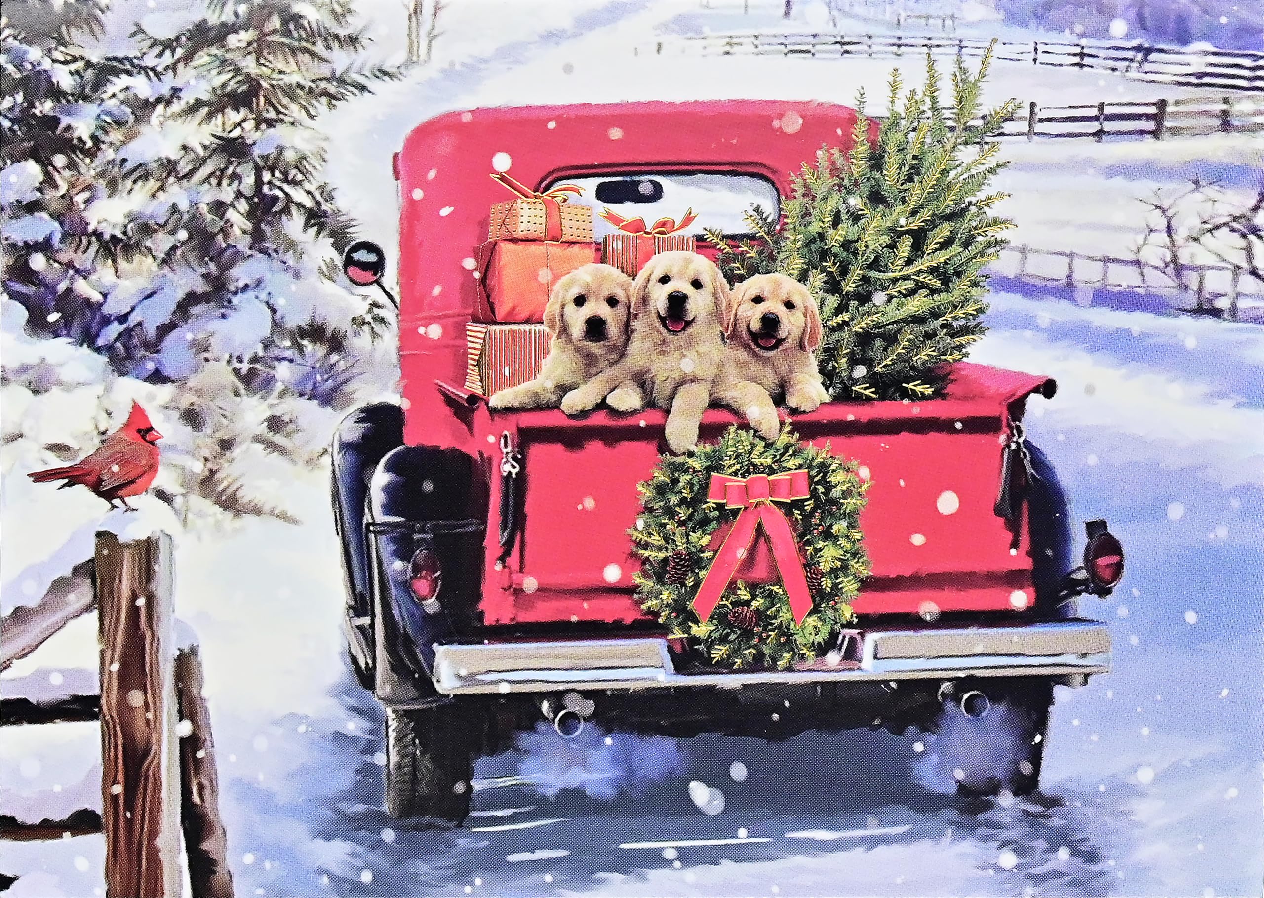 Bringing Home the Tree Deluxe Boxed Holiday Cards (20 cards, 21 self-sealing envelopes)