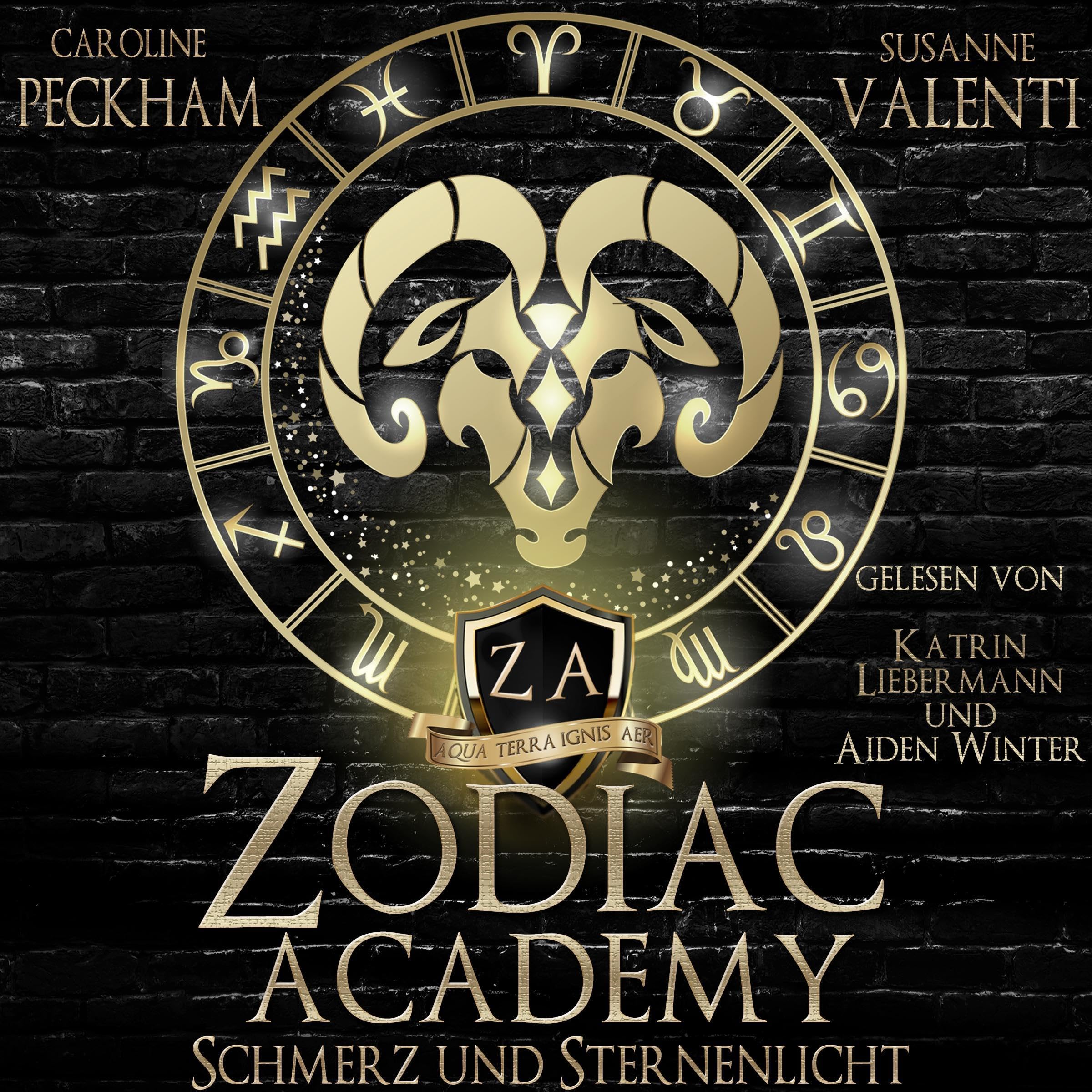 Cover art for Schmerz und Sternenlicht