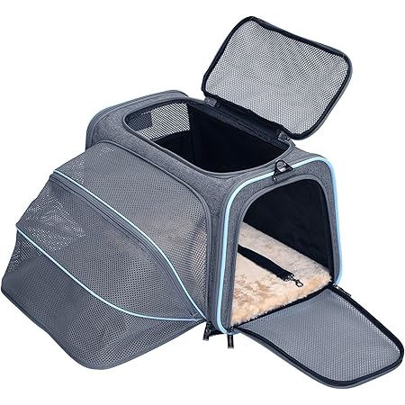 petsfit carrier