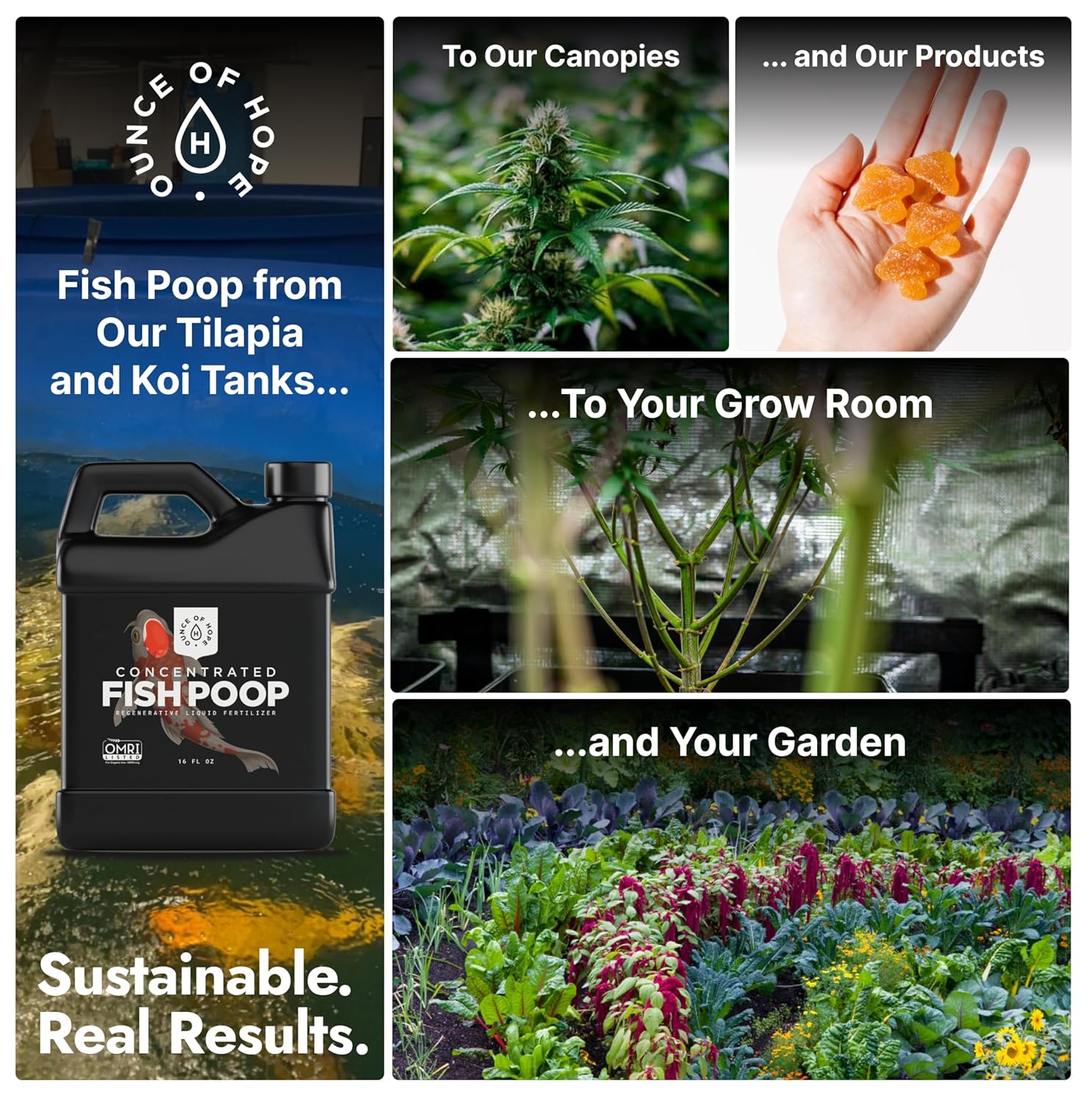 OMRI Listed Organic Concentrated Fish Poop - Liquid Fertilizer & Indoor Plant Food for Vegetable Gardens, Houseplants, Seedlings, Aquaponics & Soil Amendment (16 Oz - Makes 16 Gallons)