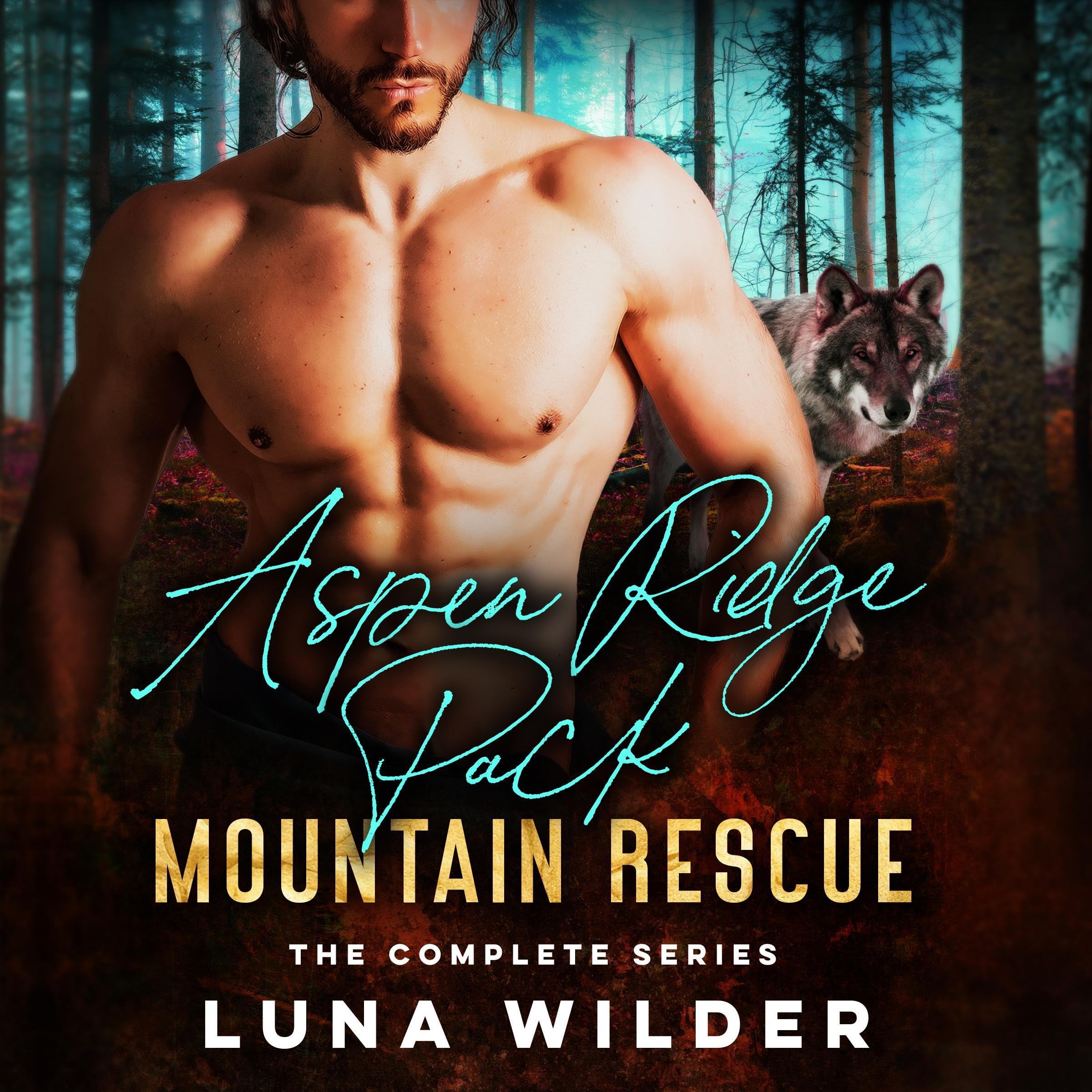 Cover art for Aspen Ridge Pack: Mountain Rescue: The Complete Series