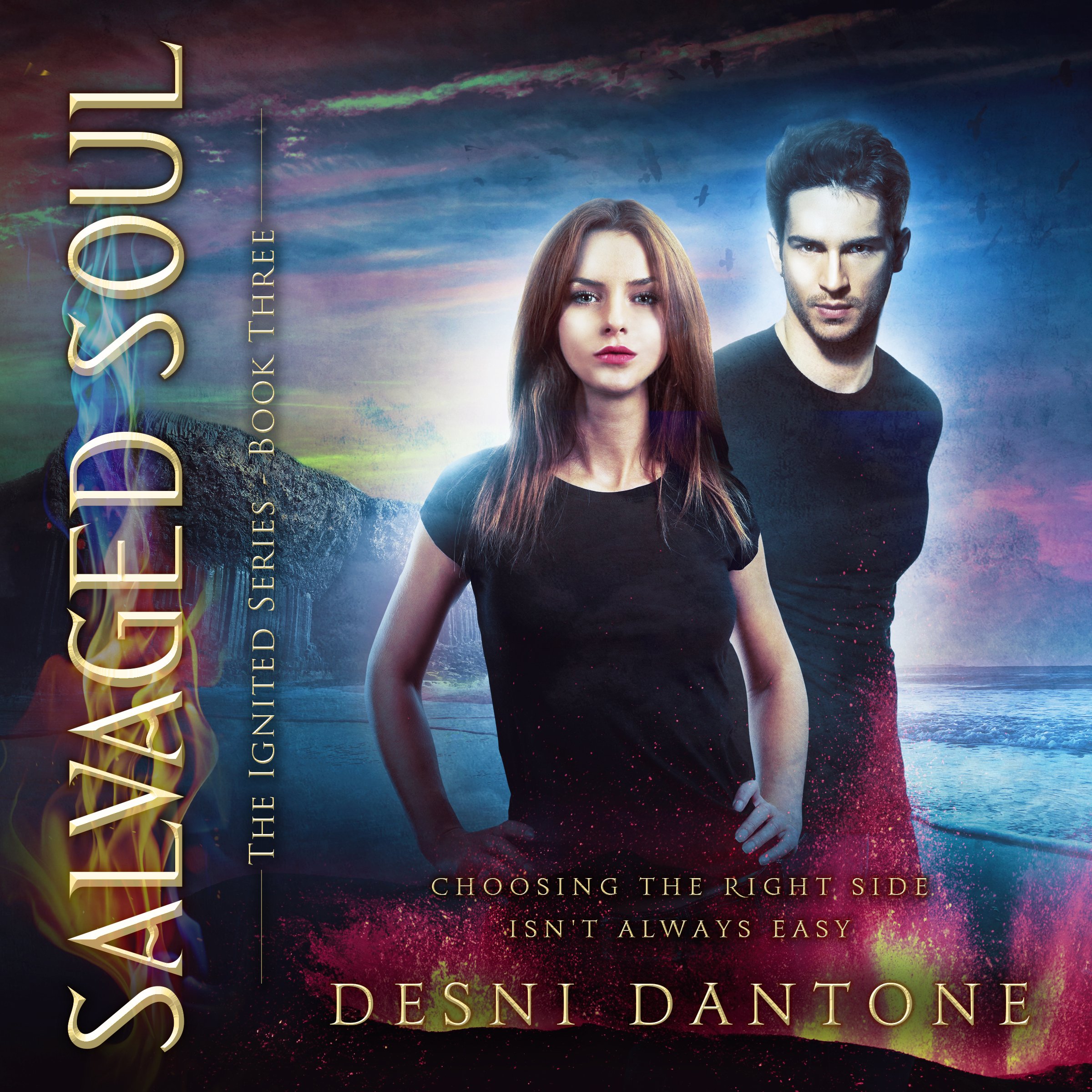 Cover art for Salvaged Soul