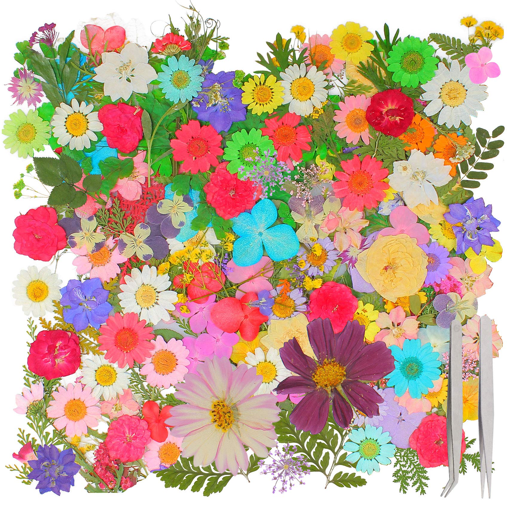 Fleurs séchées pour résine et bougies avec pinces de précision