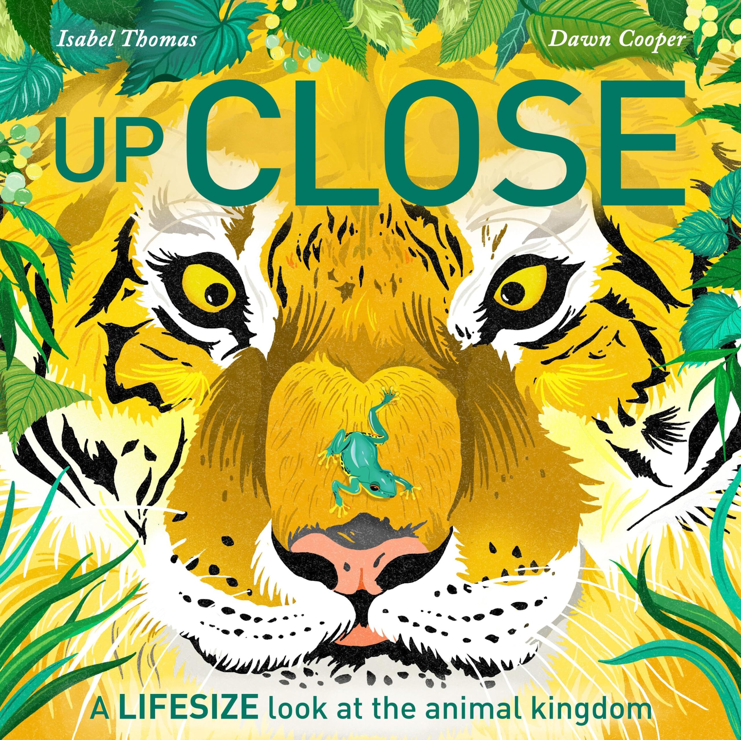 Up Close A LIFESIZE look at the animal kingdom by Isabel Thomas (Paperback Book)