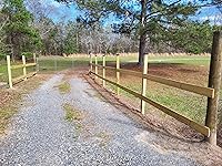 Review Image by Molly Molly