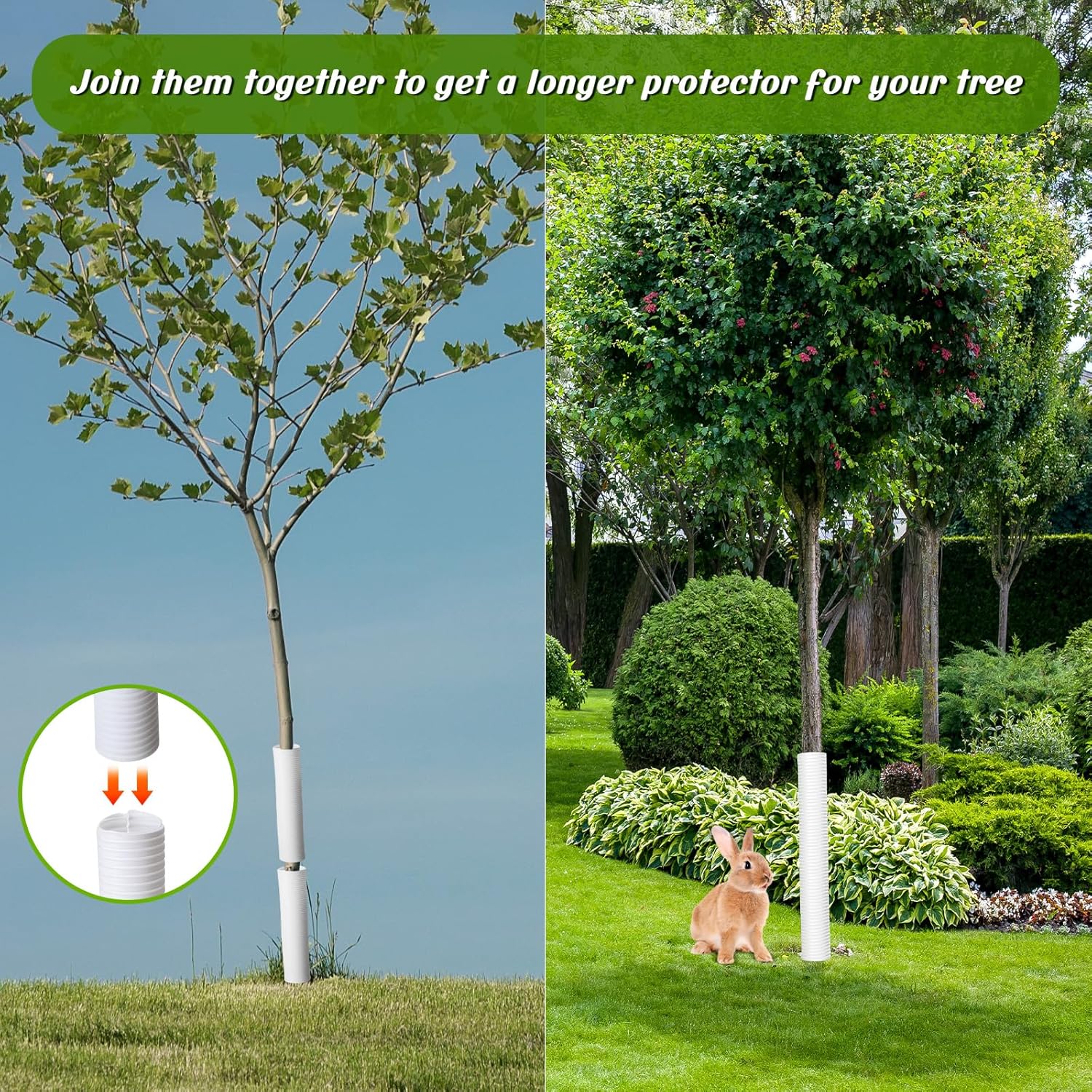 Menkxi 20 Pcs Tree Trunk Protectors from Deer Tree Wraps to Protect Bark Grow Tubes for Saplings Corrugated Guards Covers from Animals Rodents Mowers(15.7 x 2", 15.7 x 1.5",White)