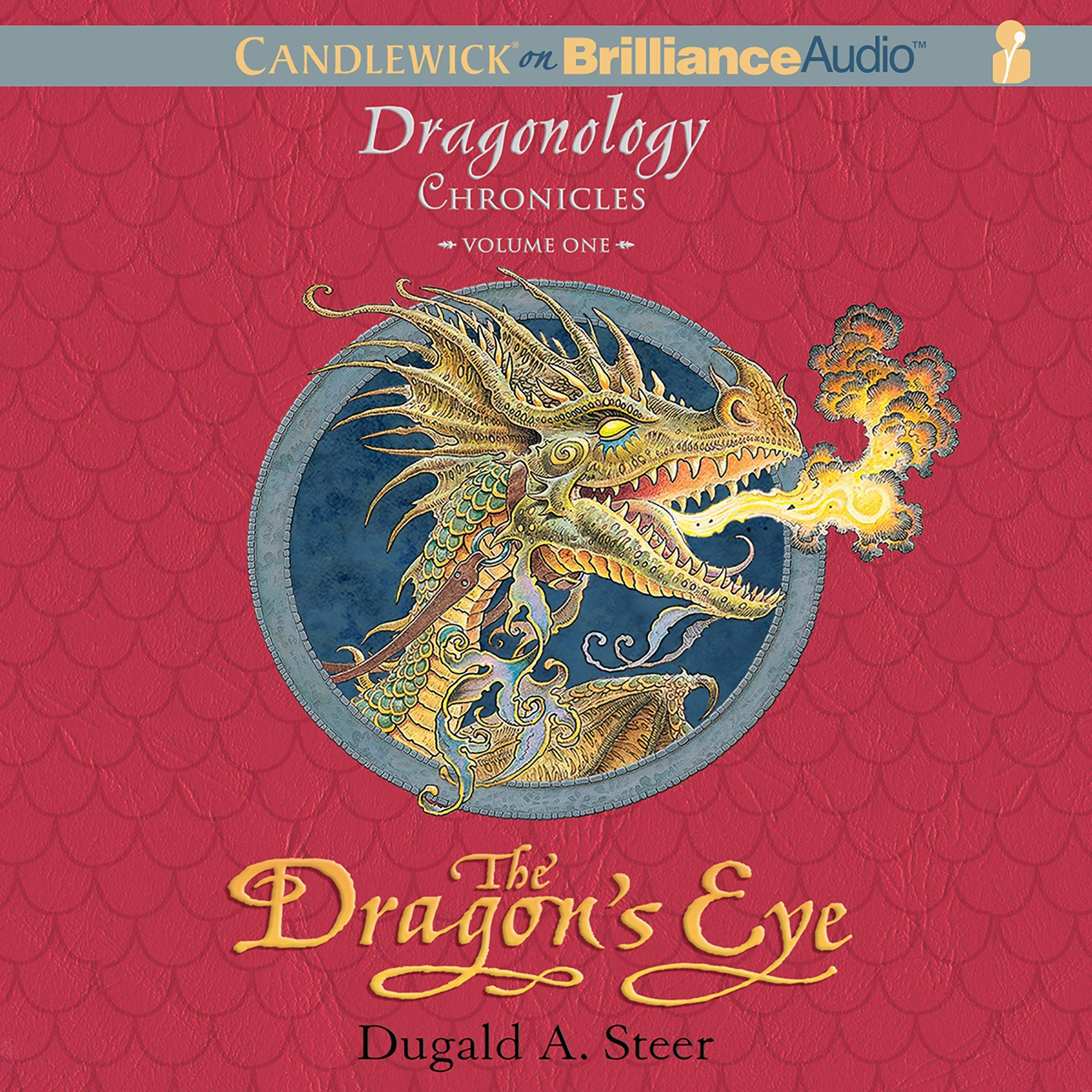 Cover art for The Dragon's Eye