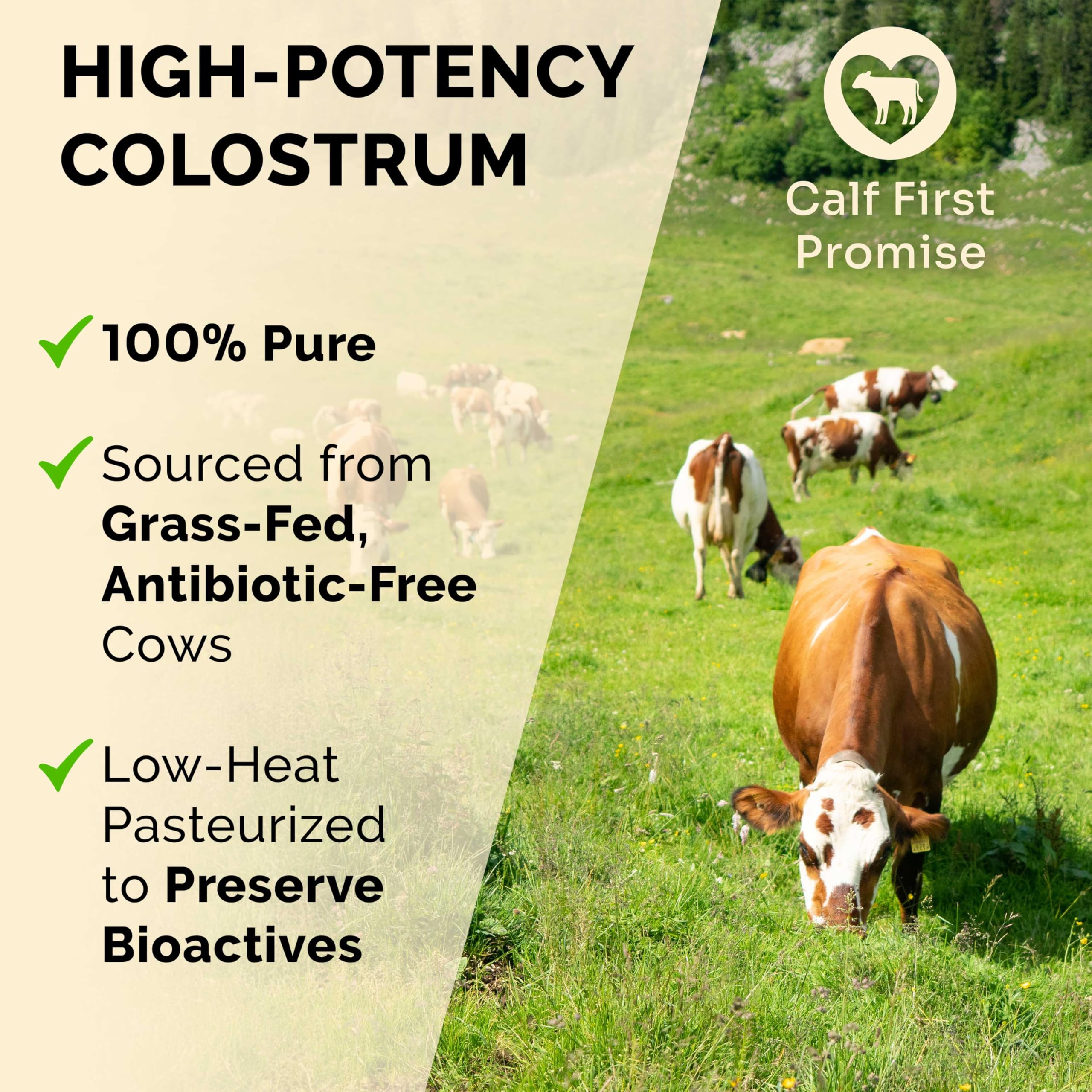 Premium Colostrum Supplement Highest IgG for Gut Health, Immune Support & Recovery Superfood, Anti-Age - Pure Grass-Fed Bovine Colostrum Powder - Mother’s First Milk, 60 Servings, Unflavored — Amazon image 3