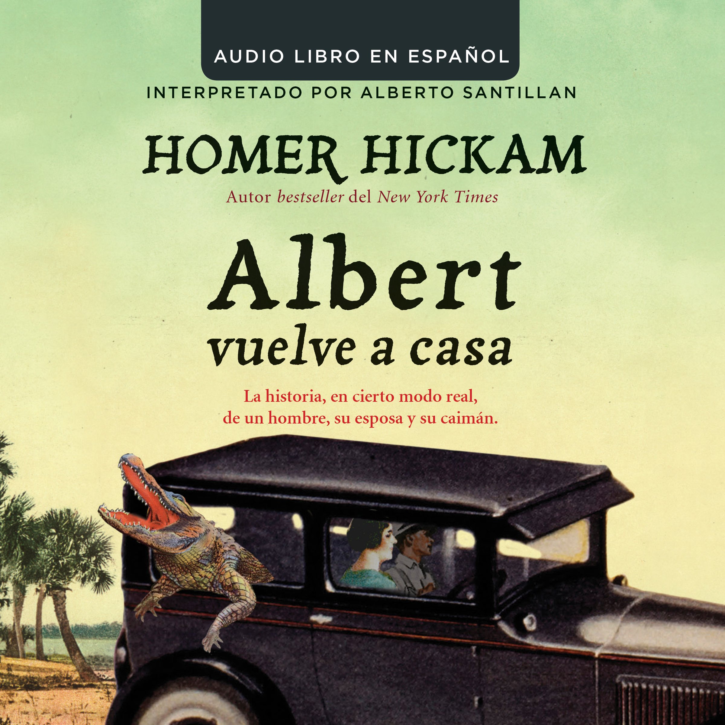 Cover art for Albert vuelve a casa