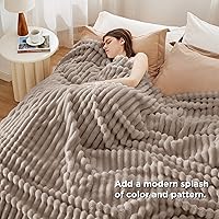 Vista 49 de Bedsure GentleSoft Twin Blanket for Couch - Cozy Soft Blankets for Women, Cute Small Fleece Throws for Girls, Light Grey, 60x80 Inches