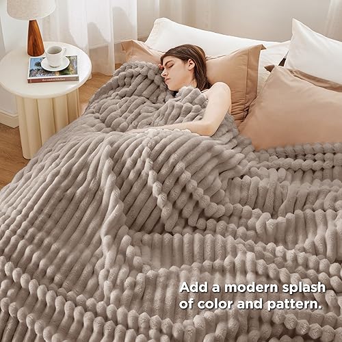 Miniatura 49 de Bedsure GentleSoft Twin Blanket for Couch - Cozy Soft Blankets for Women, Cute Small Fleece Throws for Girls, Light Grey, 60x80 Inches