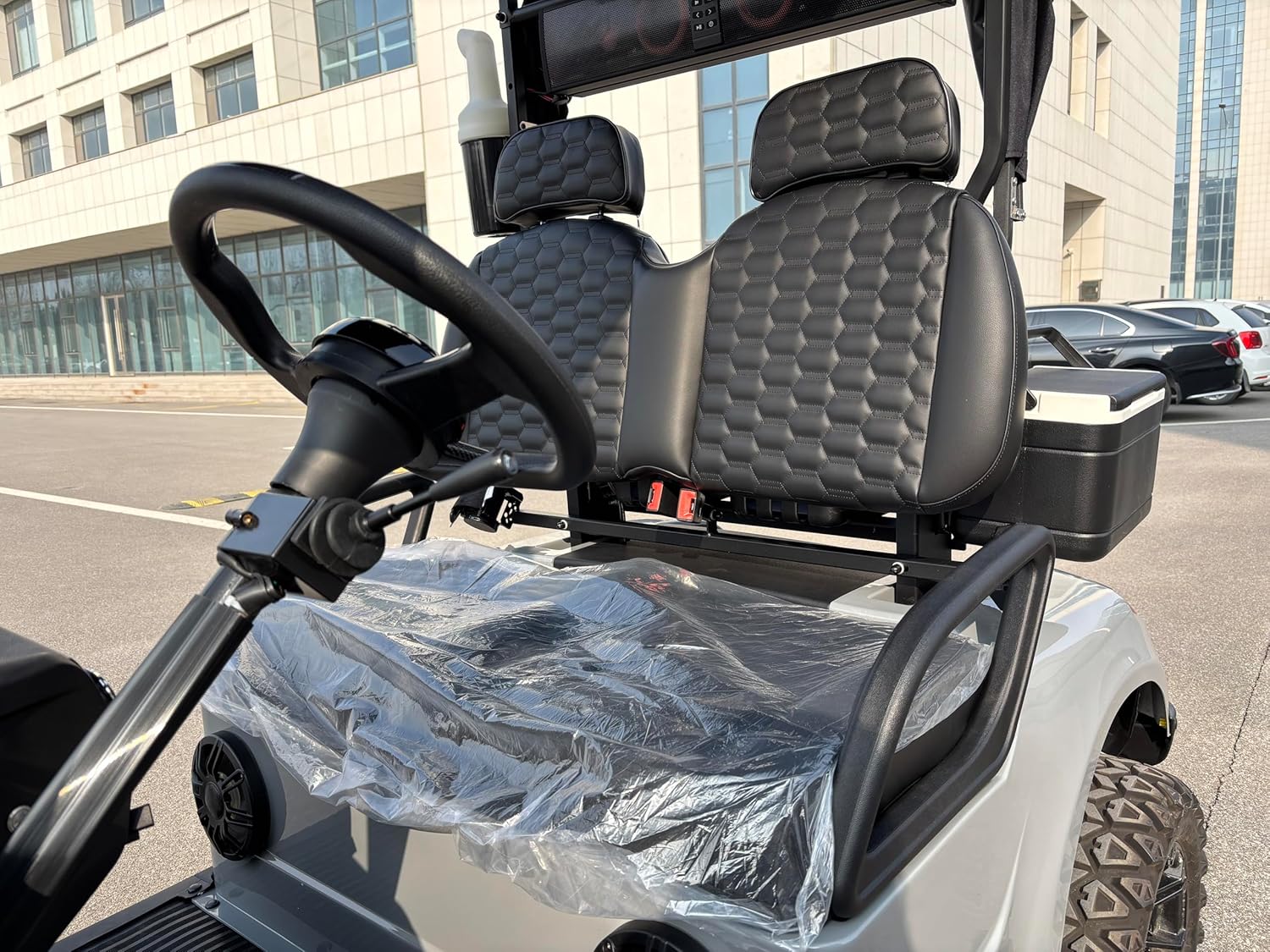 GO UP Electric Golf Cart 2seats