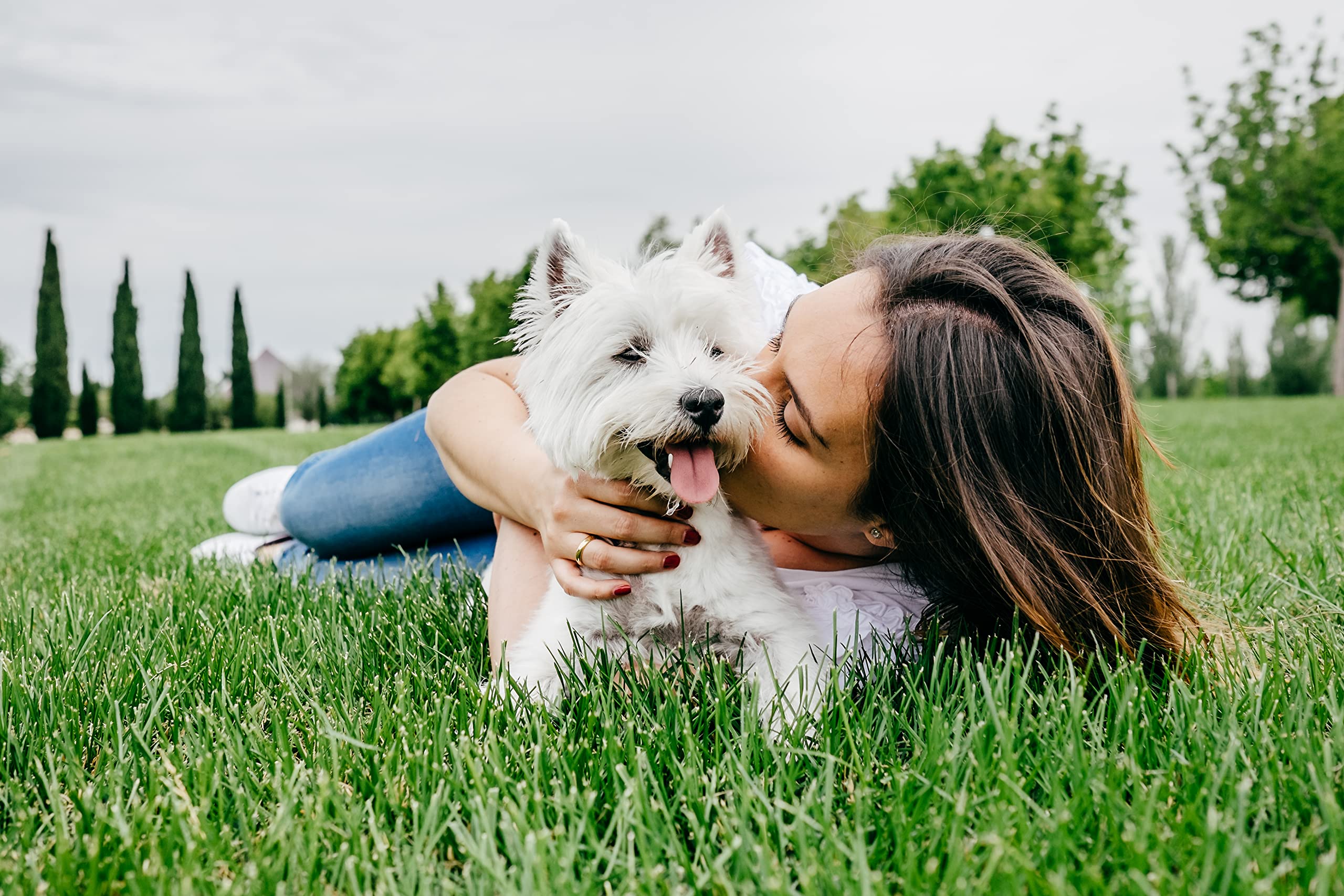 Cesar Junior Cibo per Cane Cucciolo con Tacchino e Vitello 150 g 14 vaschette