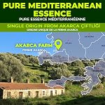 Huile d'olive riche en polyphénol Extra vierge par Zest Delites, Jusqu'à 770 mg/kg Huile d'olive à haute teneur en polyphénol, pressée à froid EVOO, Coeur & Soutien à l'immunité, origine unique, prix d'or, nouvelle récolte, 500 mL
