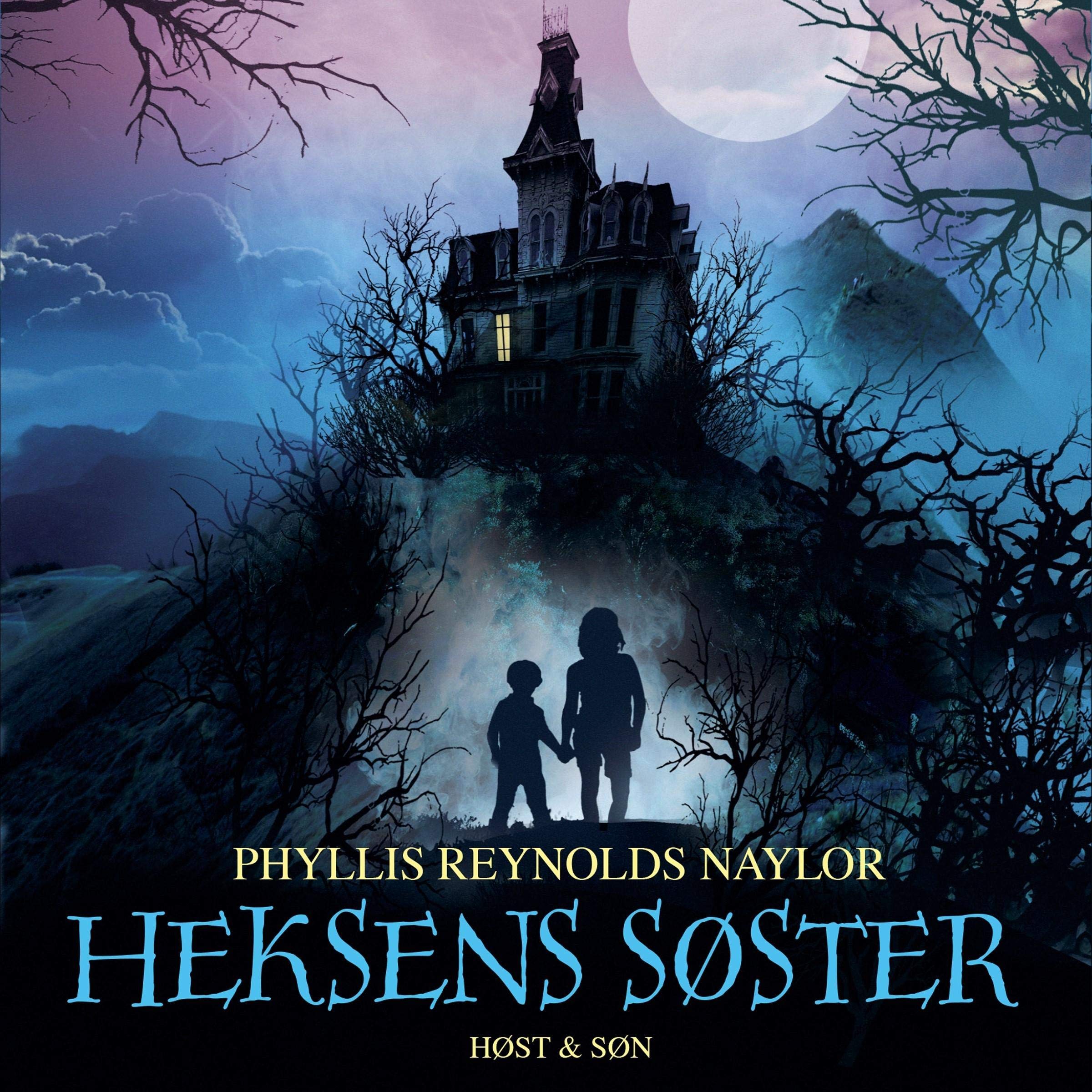Cover art for Heksens søster