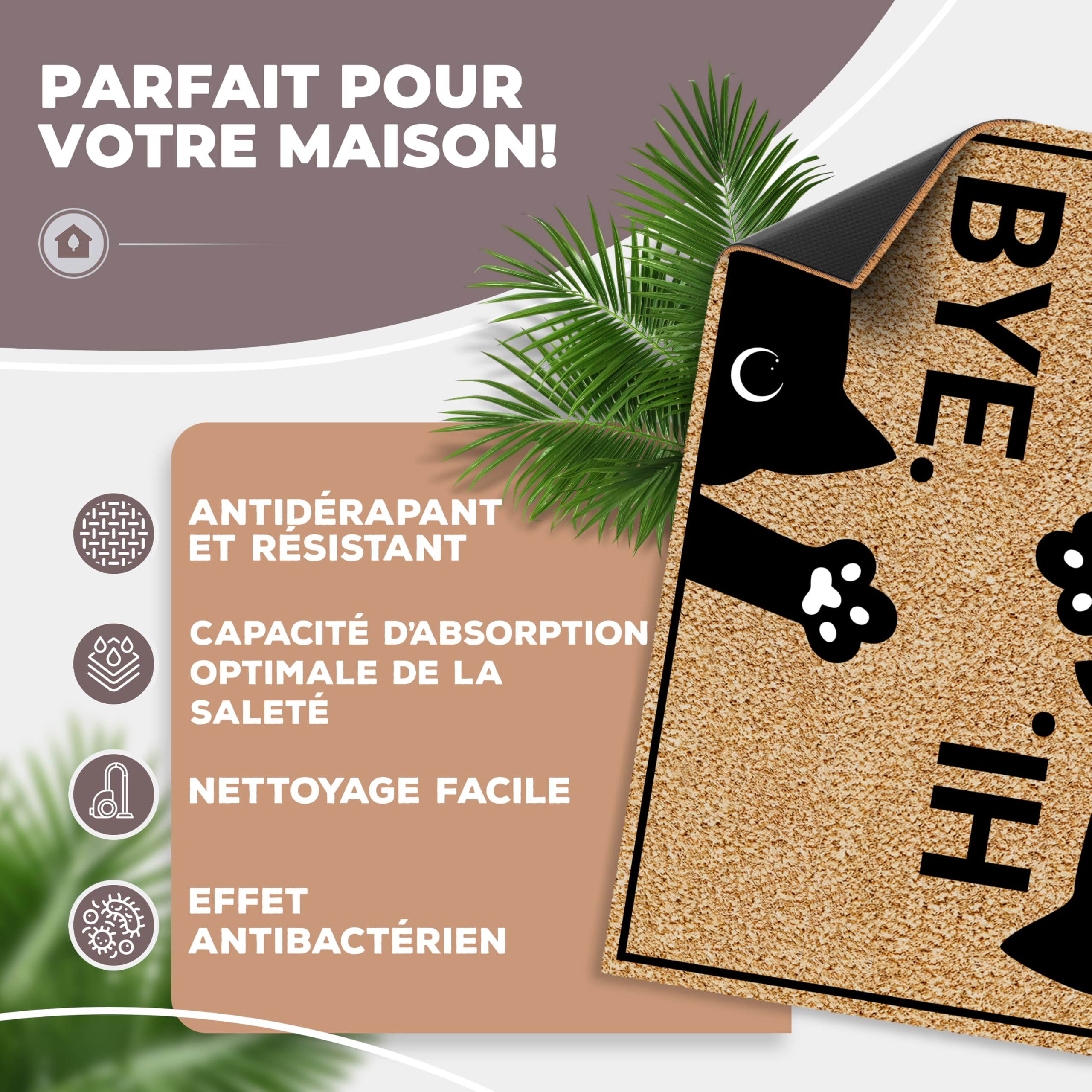 ElbFuchs® Paillasson Coco 60x40cm | Chat [Extra Durable & antidérapant] | Paillasson Chat | Tapis Coco Interieur Rigolo | Paillasson Exterieur Entree Original | Paillassons pour entrée