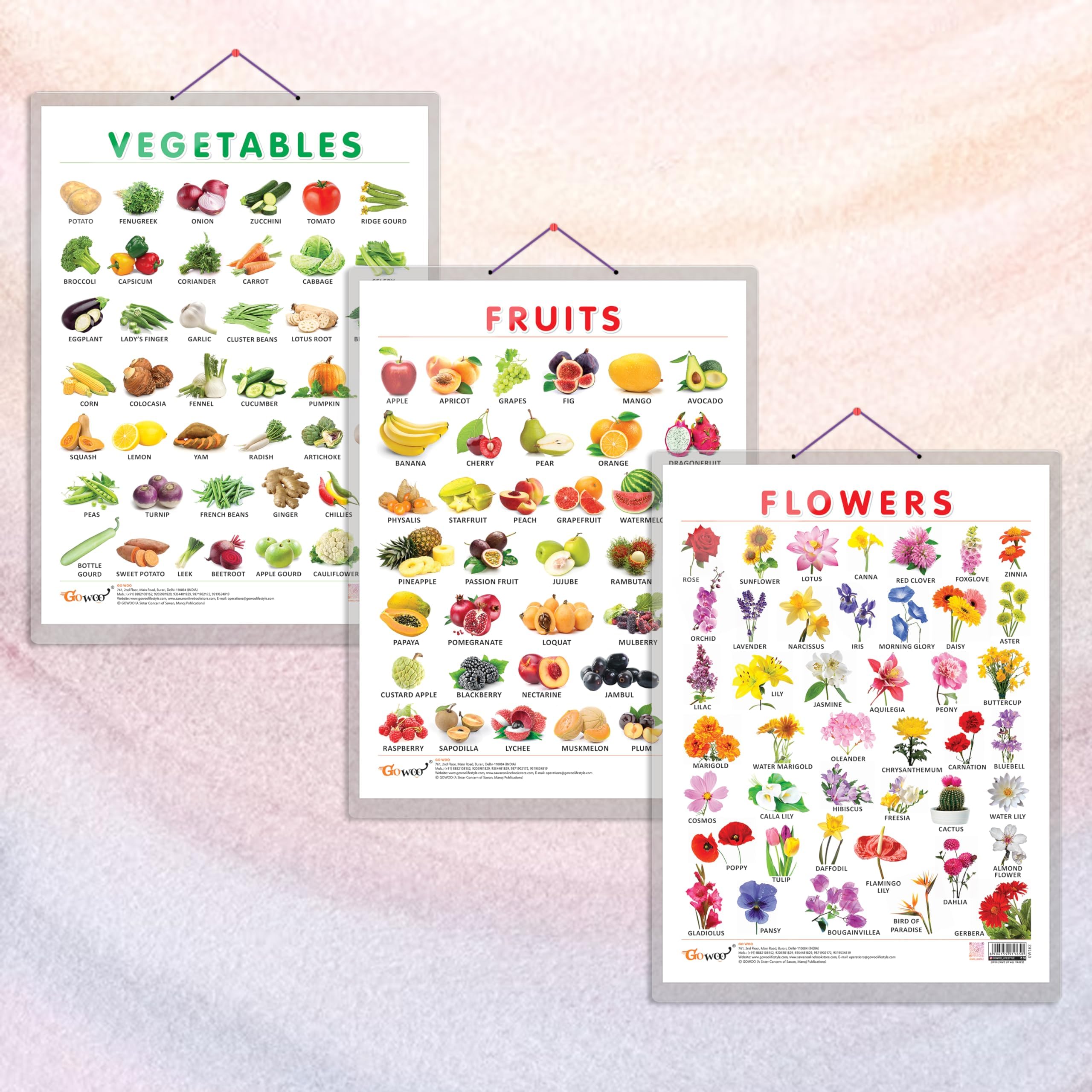 GO WOONUMBER 1-10 CHART HARD LAMINATED, NUMBER 1-50 CHART HARD LAMINATED, and VEGETABLE CHART HARD LAMINATED | combo of 3 charts | Vibrant Numbers and Vegetable Exploration