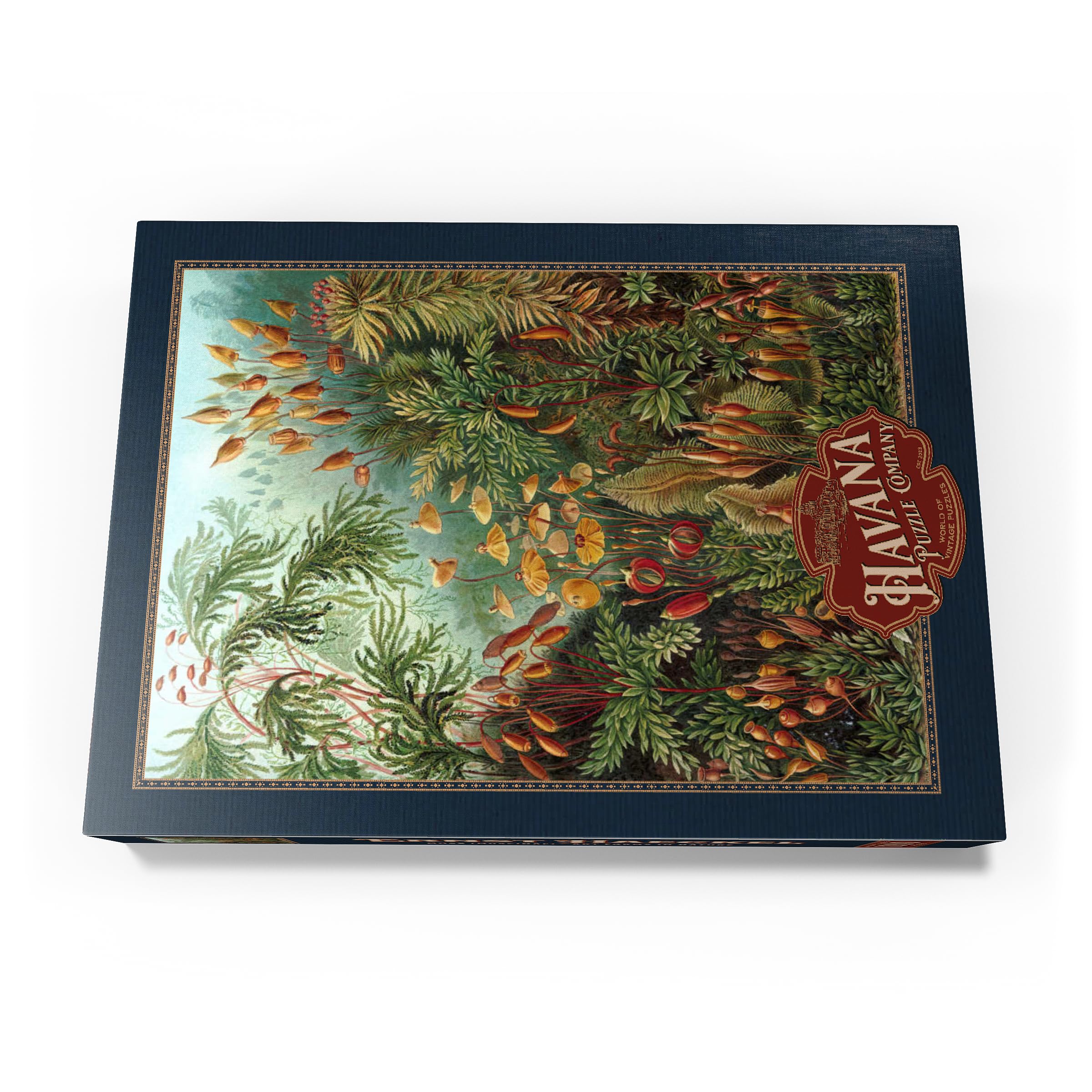 Moss (Muscinae), Art Forms In Nature, Vintage Art Poster, Ernst Haeckel, Premium 1000 pieces Puzzle - Image 4