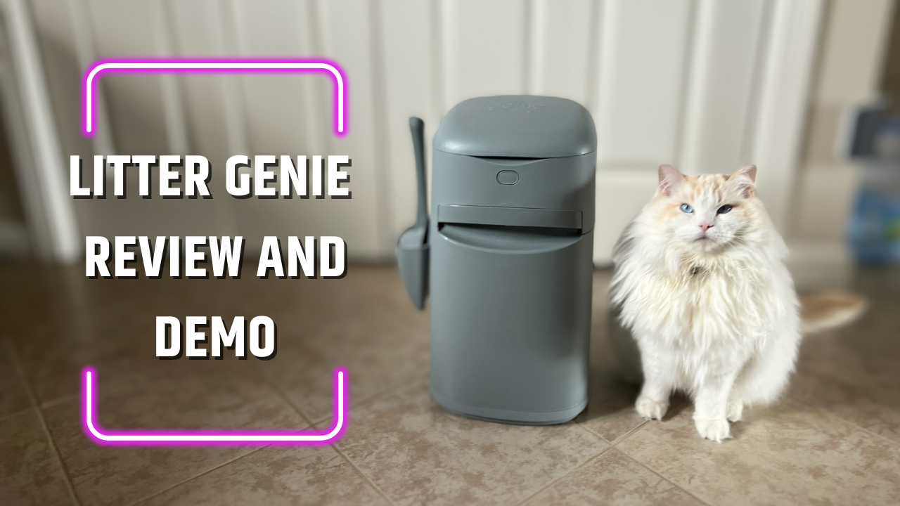 Watch Litter Genie - My Review After Several Months of Use Demo on ...