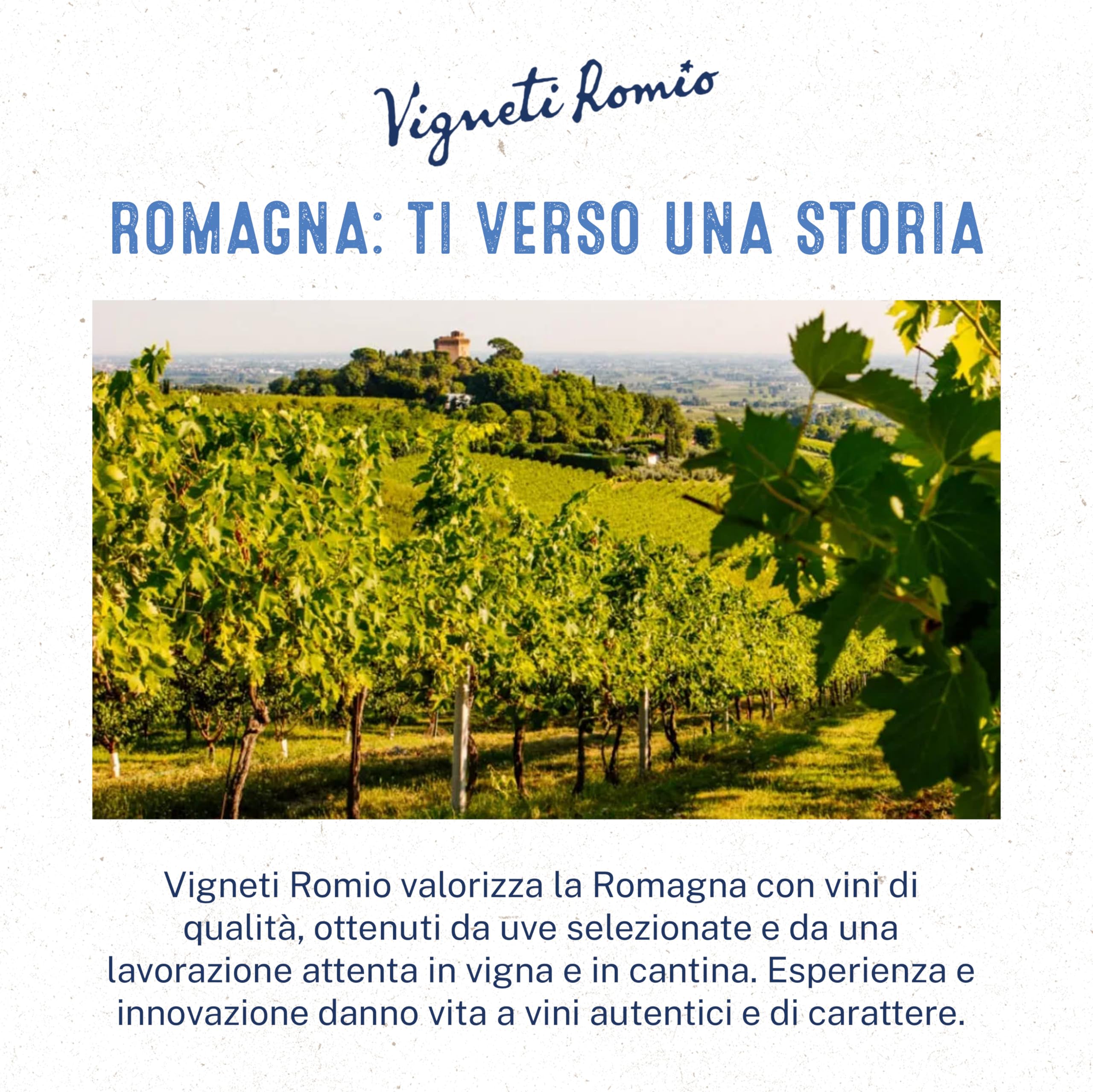 Vigneti Romio Trebbiano Vino Spumante Bianco Novebolle Romagna DOC, Gusto Fresco con Note Fruttate, 11.5% Vol, Confezione con 6 Bottiglie da 750 ml