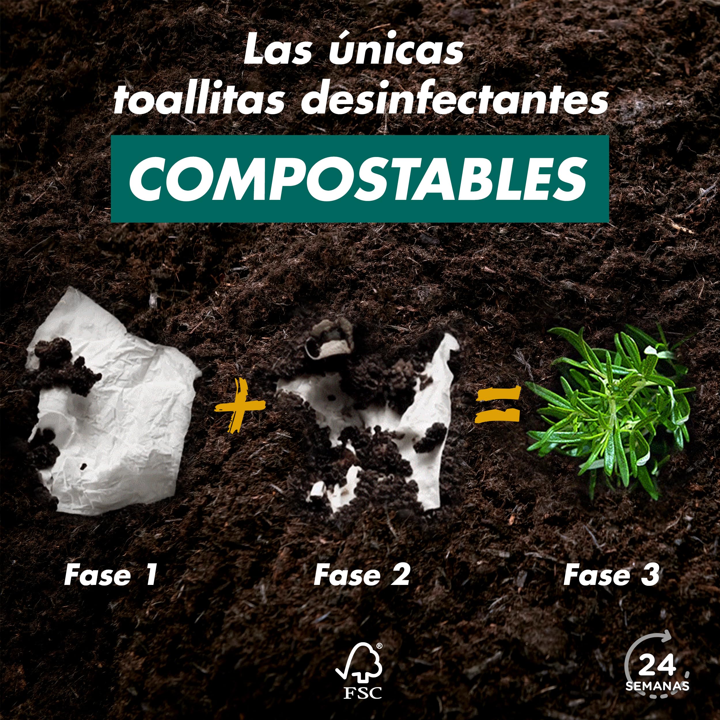 Sanytol Desinfectantes Multiusos - X 30 Toallitas, 1