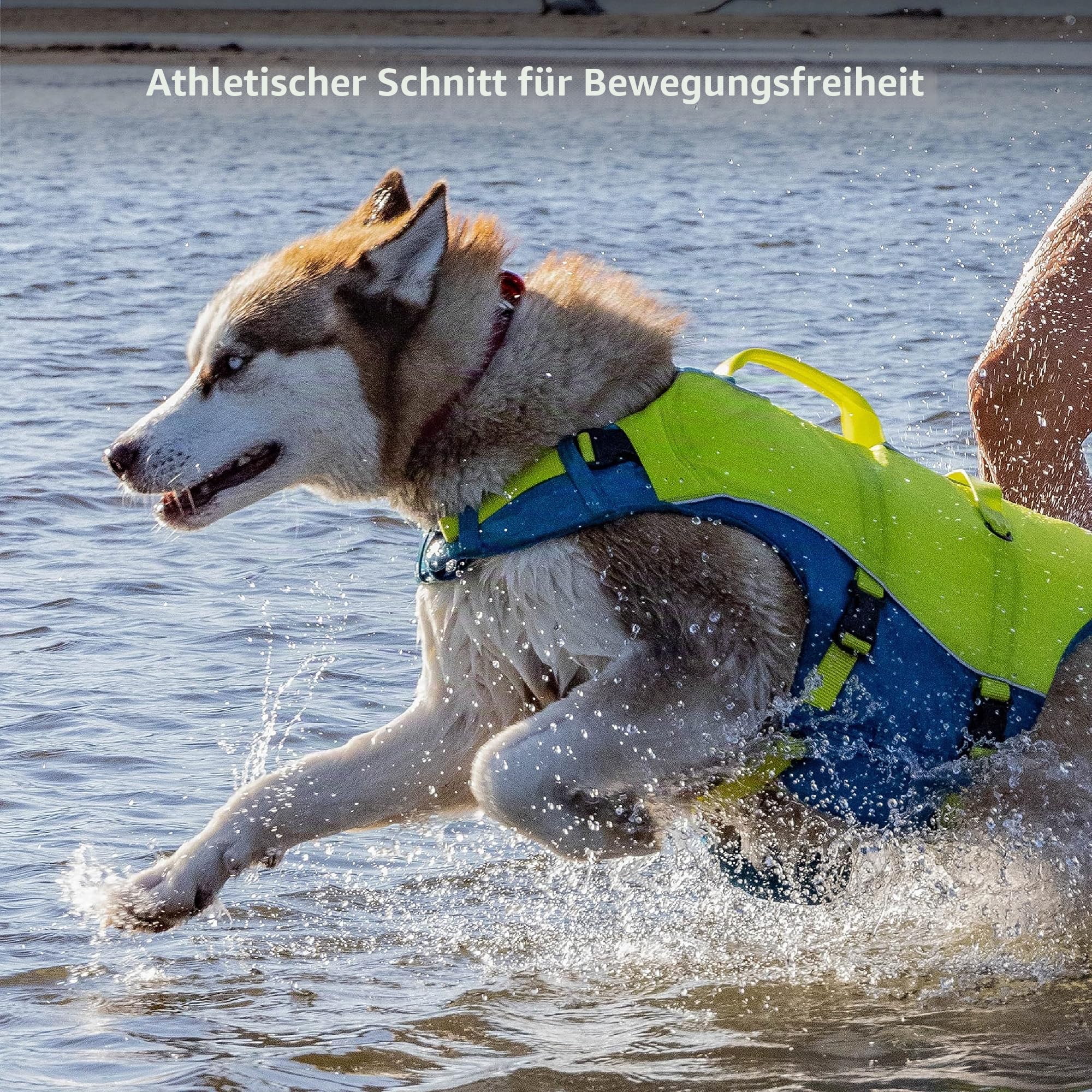 Kurgo Surf n' Turf Hundeschwimmweste, Hundeschwimmweste zum Schwimmen, Schwimmwesten für Hunde, Hund PFD, reflektierend, verstellbar, Blau/Grün, Small