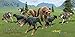 Clan of Dogs
