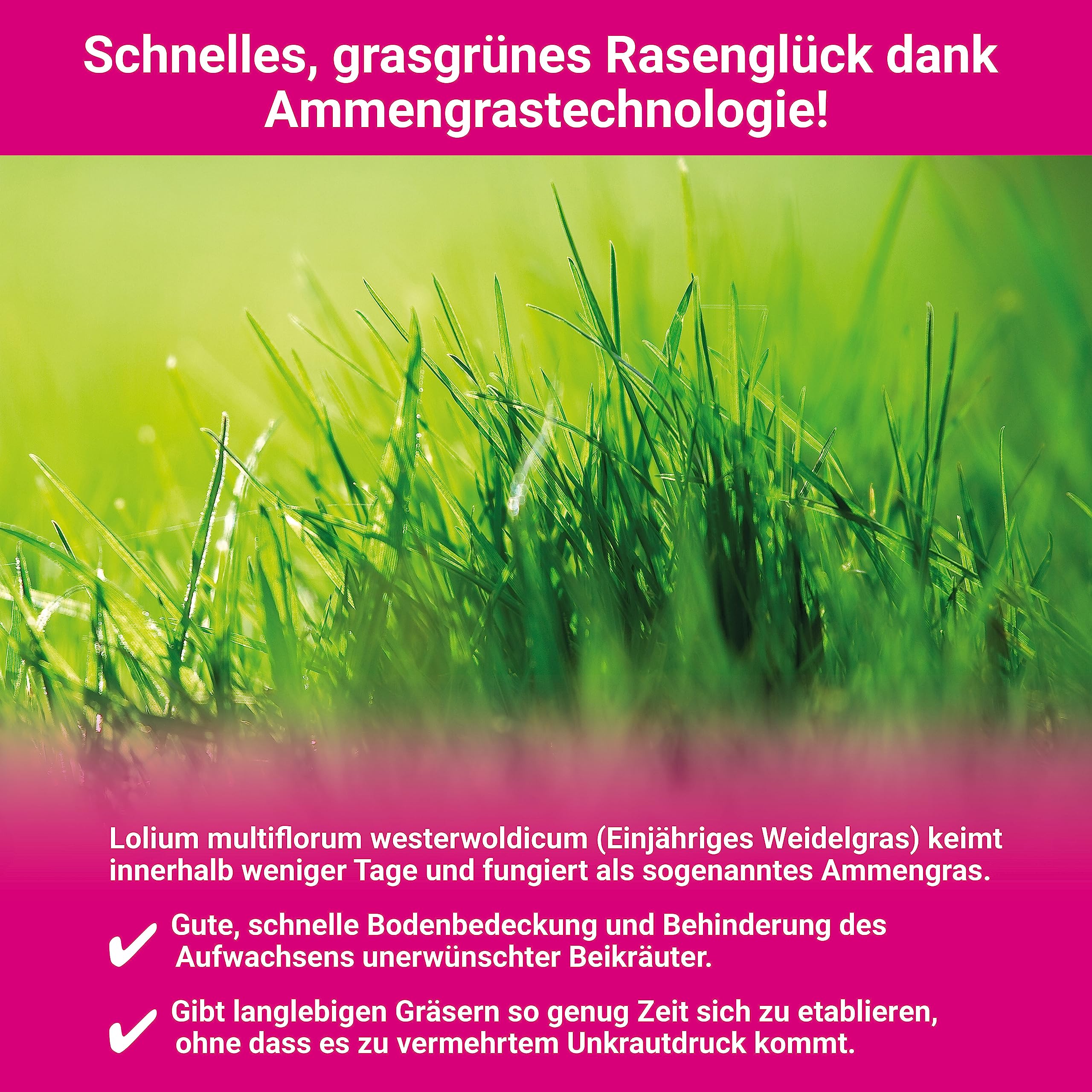 Trockenrasen schnellkeimende Rasensamen 10 kg für 250 m², ideal zur Nachsaat oder Neuanlage, dürreresistent + robuste Rasensaat, trockenresistente Grassamen Samen