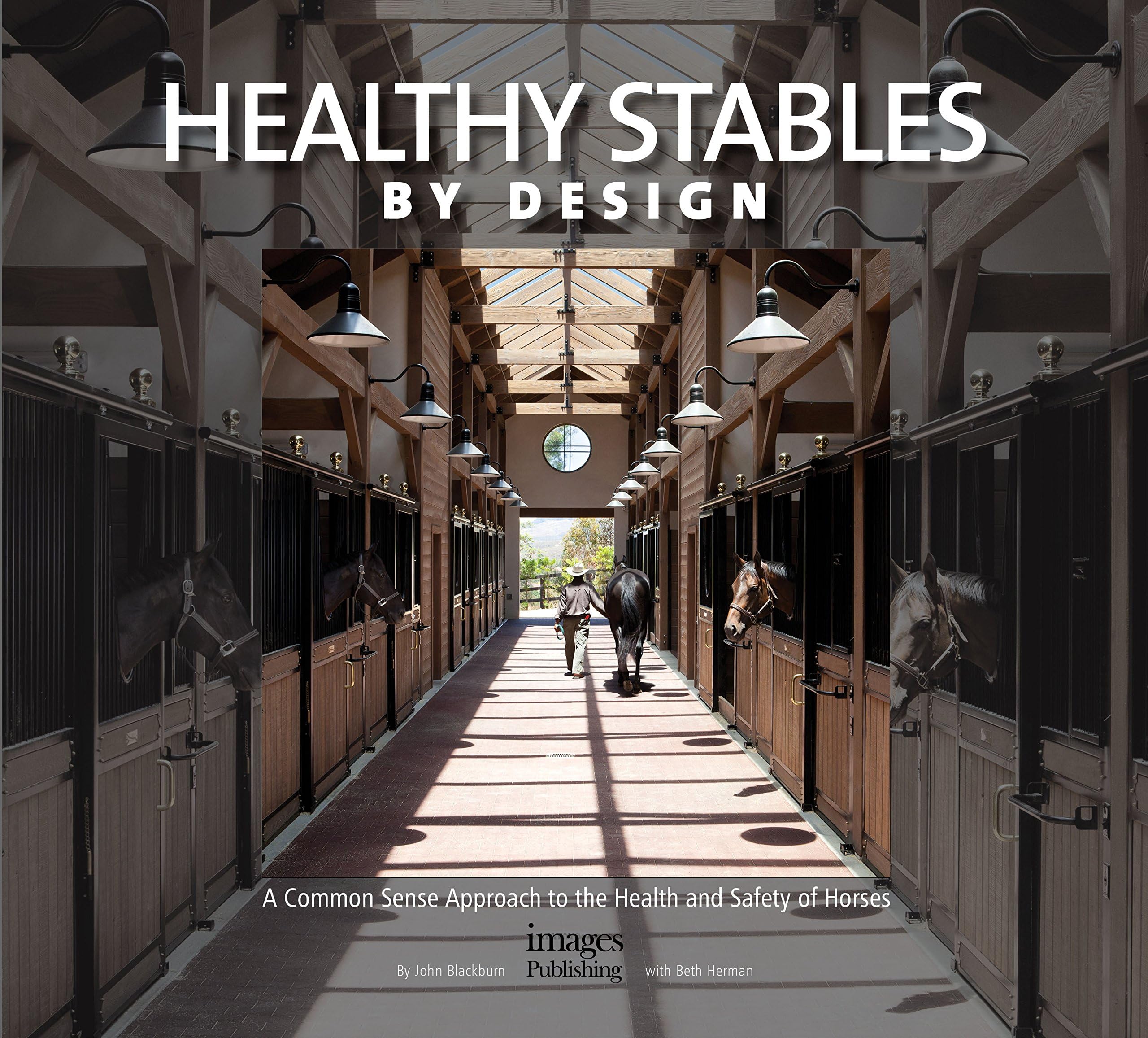 Healthy Stables by Design: A Common Sense Approach to the Health and Safety of Horses Hardcover – October 1, 2013