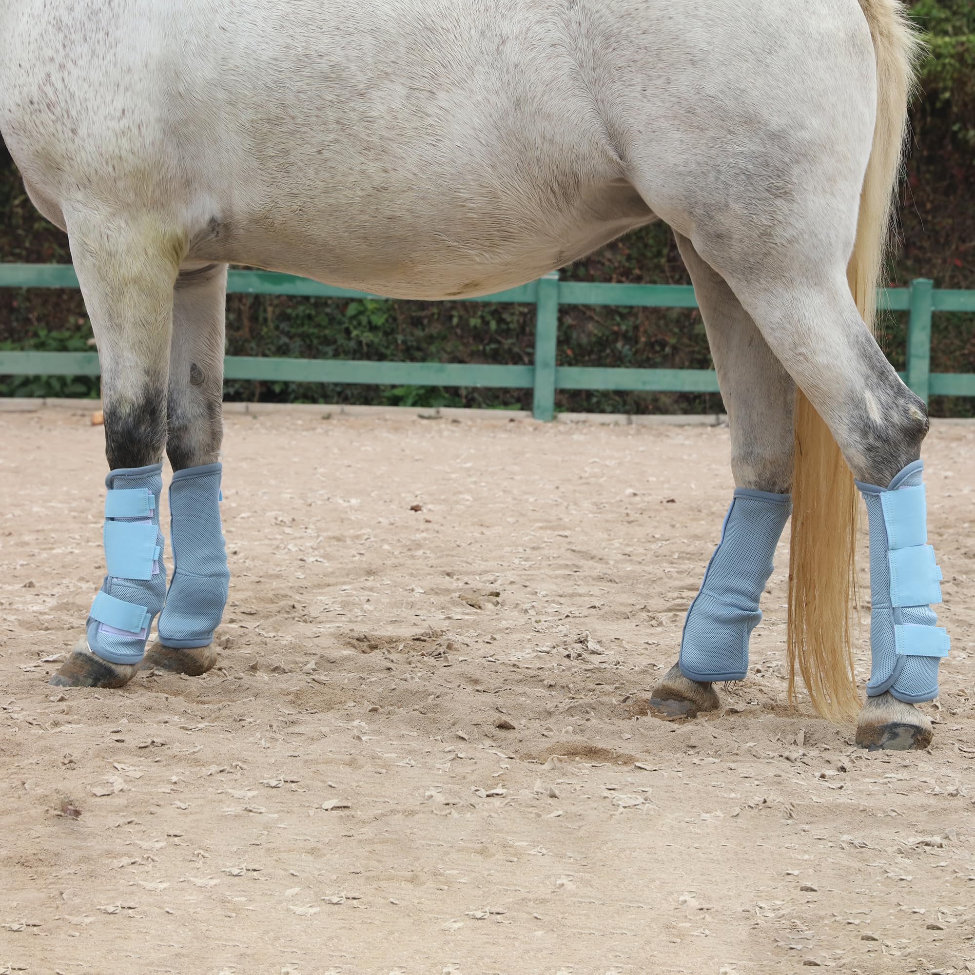 LEAFOREST Juego de 4 botas antimoscas para caballos - Protección antideslizante para patas de burro, poni mini y caballo de tiro, botas de malla transpirable para uso en pastos y establos, azul claro