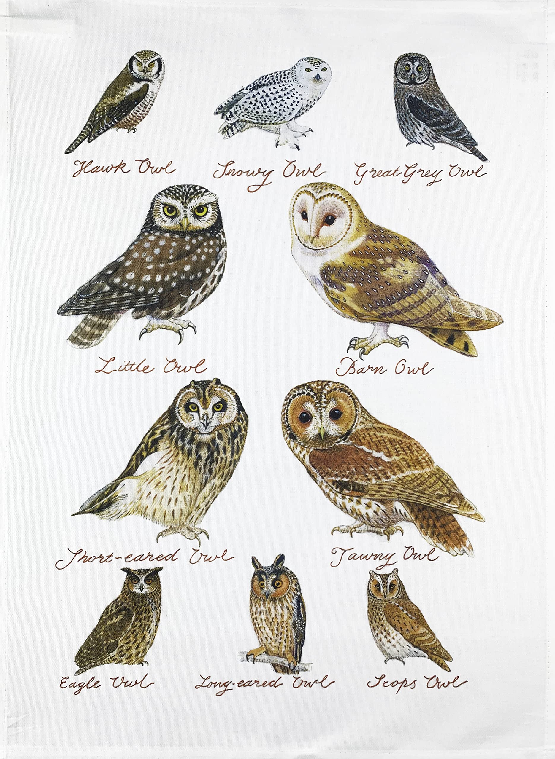 Half A Donkey Multi-Colored (Owl Pattern) Hand Drawn Owls Collection Large Cotton Tea Towel