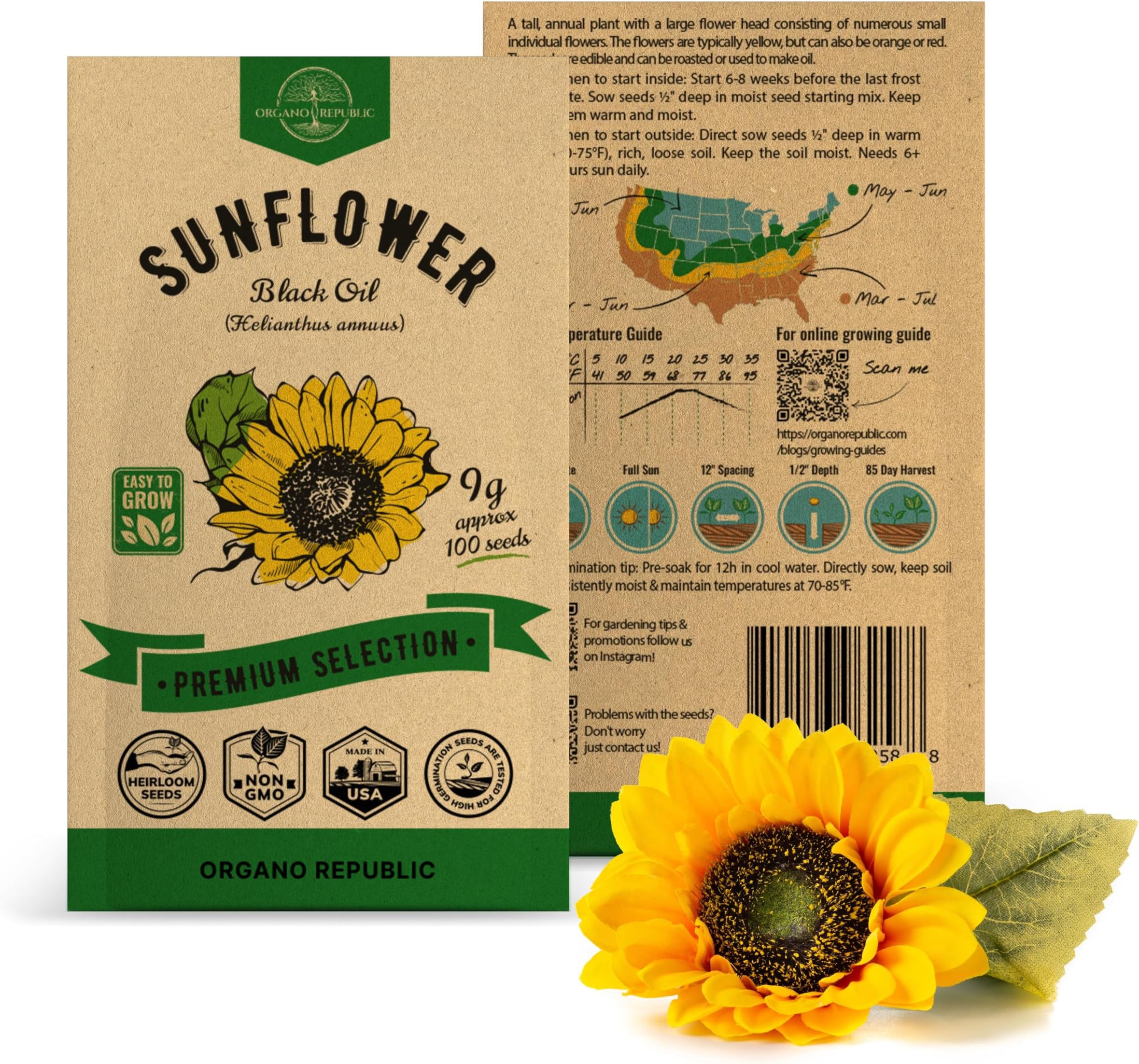Sunflower Black Oil Seeds Pack 9G Over 100 of NonGMO