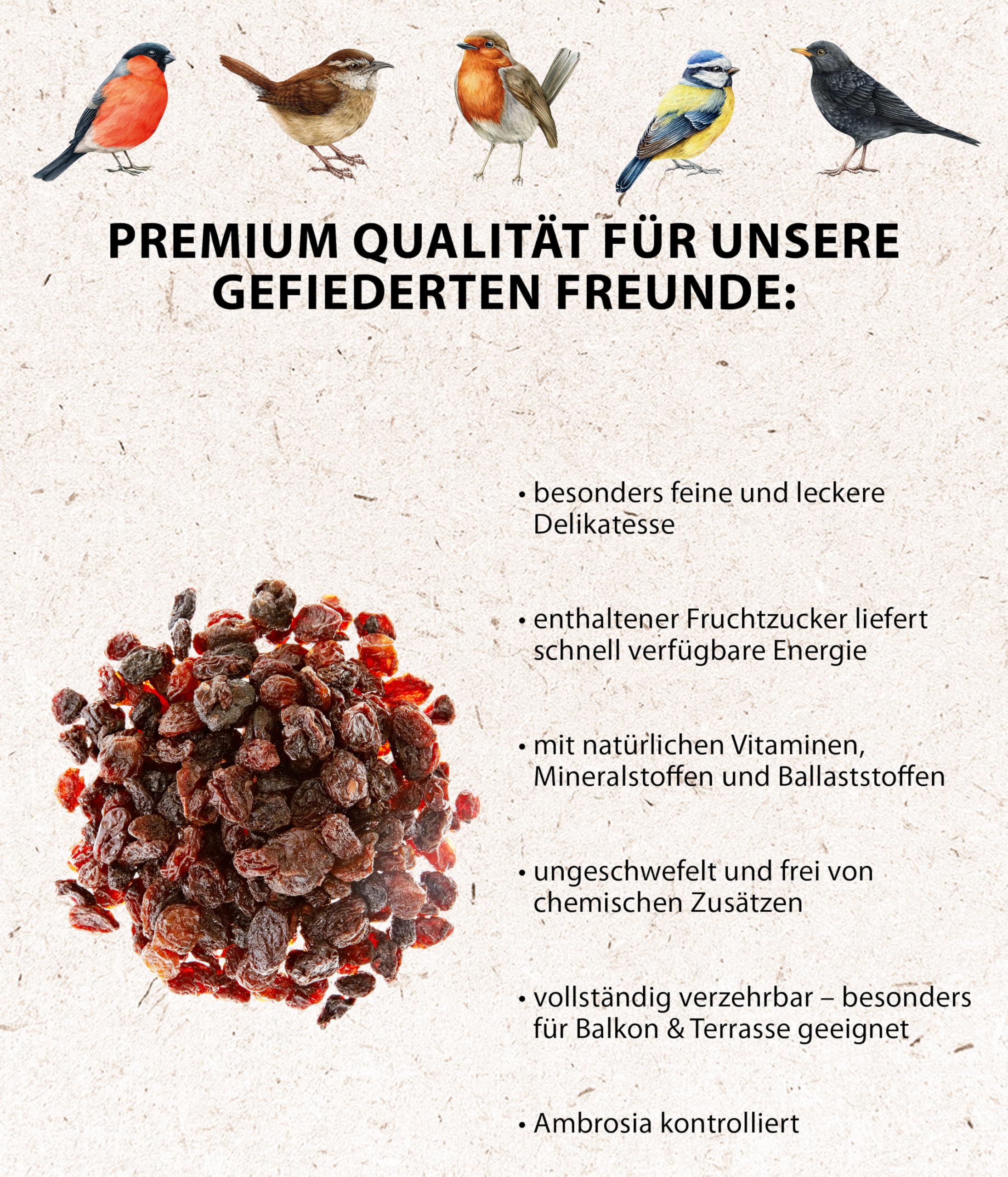 Dehner Natura Premium mangime per uccelli selvatici con uvetta, 2 kg