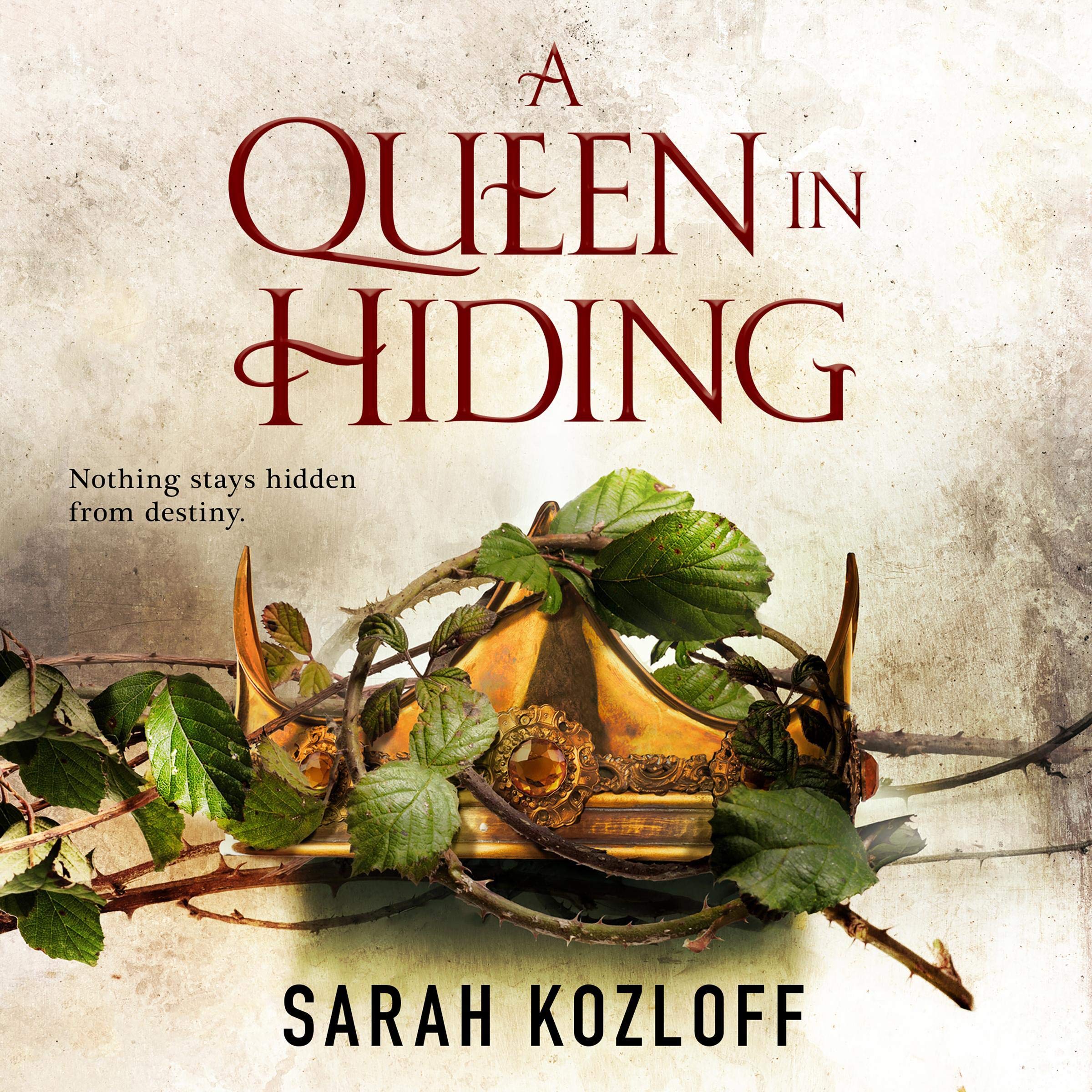 Cover art for A Queen in Hiding