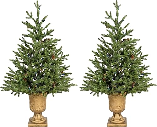 Miniatura 18 de Fraser Hill Farm Árbol de porche de 3 pies con luces LED multicolor Luces LED multicolor,Luces LED de color blanco cálido