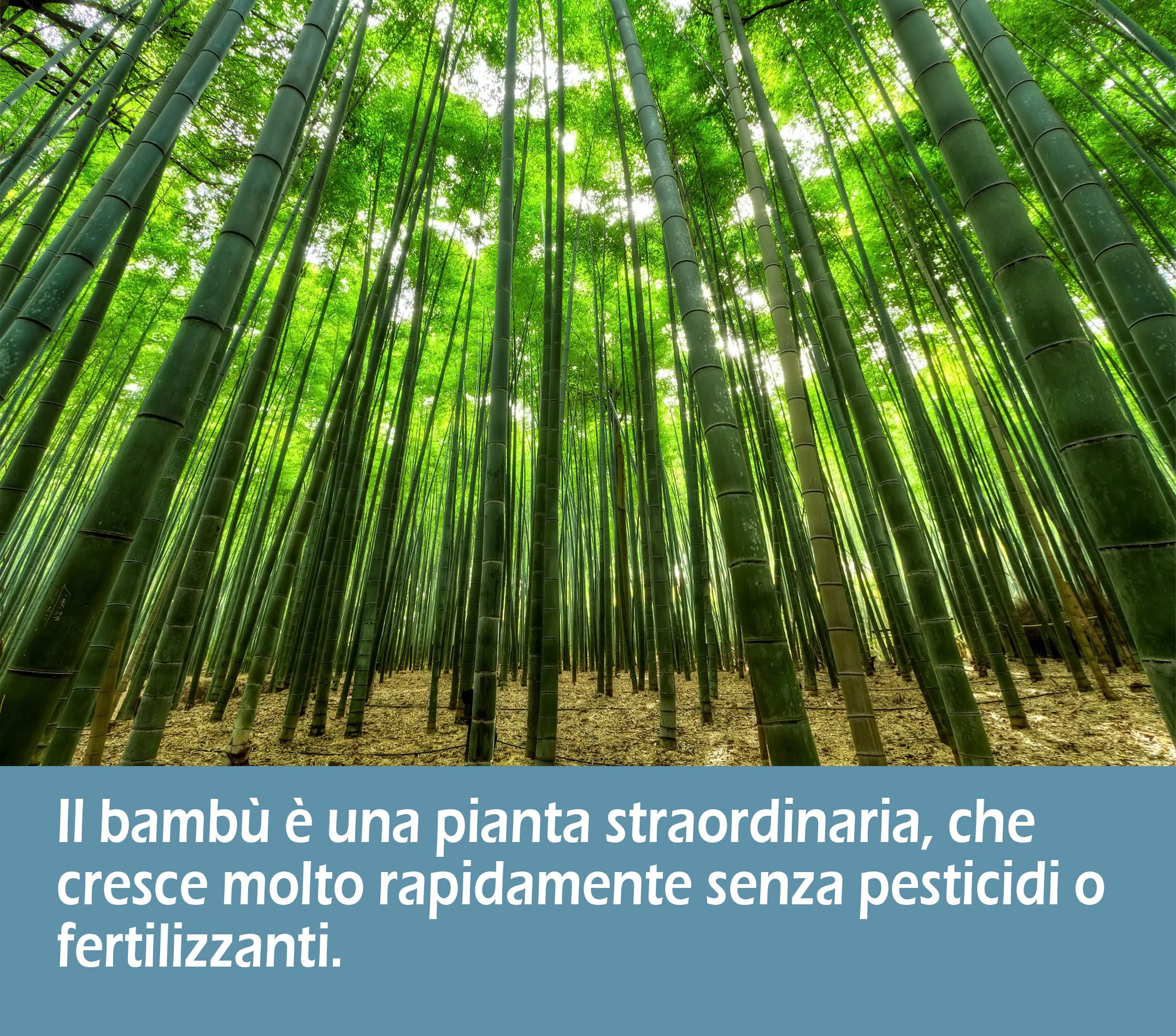 Coprimaterasso Singolo Impermeabile 90x190, antiacaro sotto con angoli ipoallergenici, anti-acaro ecologico in fibra di bambù, ultra morbido, non usa e getta, silenzioso, morbido,
