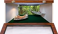 Vista 2 de CAROLINACUSTOMCAGES Fondo de hábitat de reptiles, bosque lluvioso, 15.75 "x 36