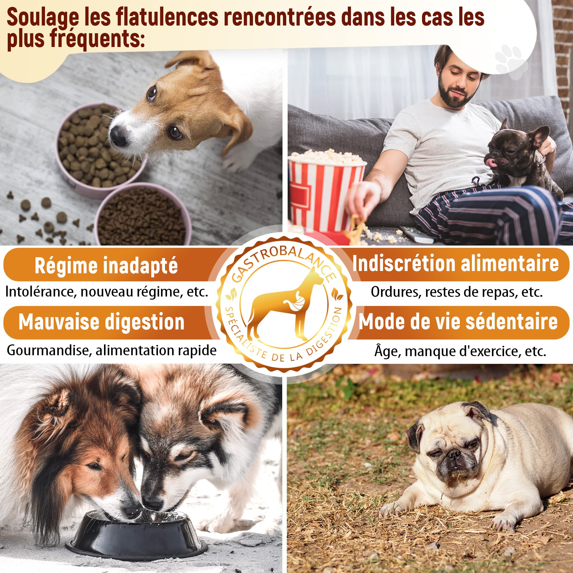Traitement Anti Flatulence Chien - complément Alimentaire Chien flatulences - 60 croquettes Chien Anti Flatulence - Goût Poulet (Francais)
