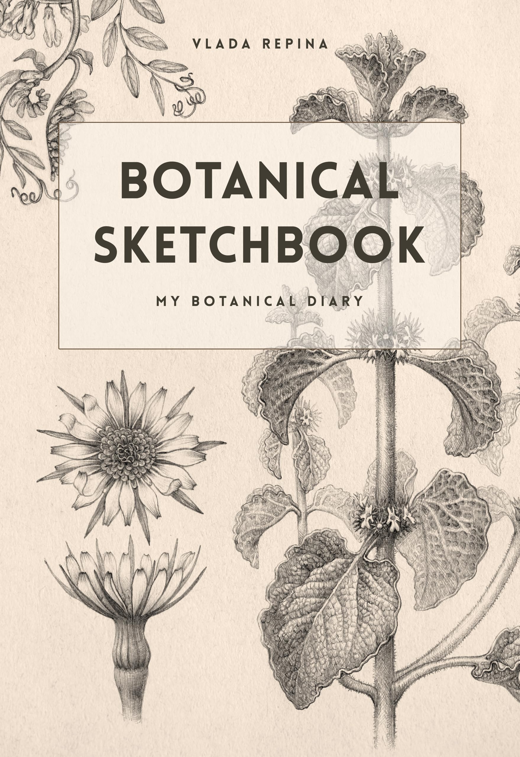 Botanical Sketchbook cultivez votre passion pour l'illustration florale