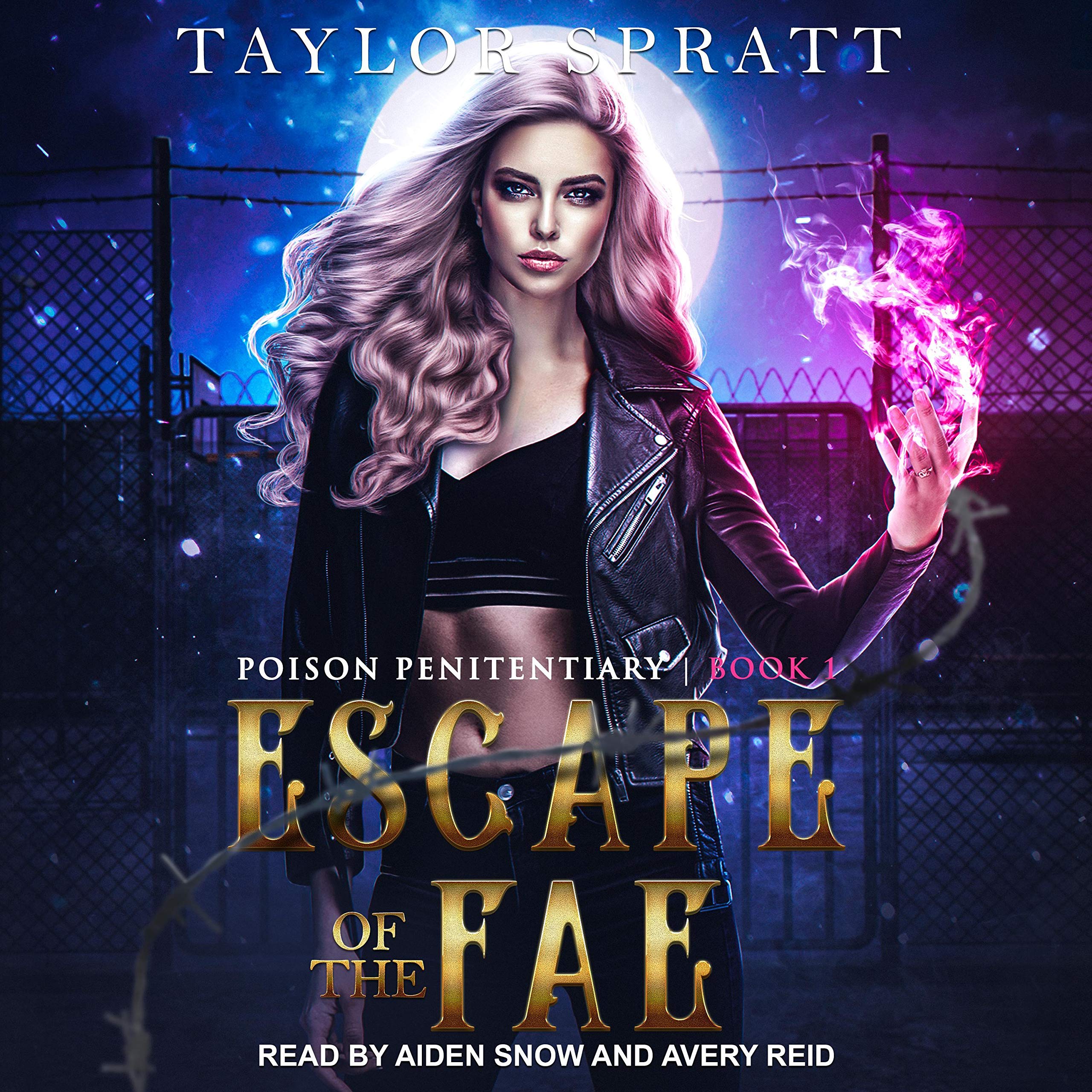 Cover art for Escape of the Fae