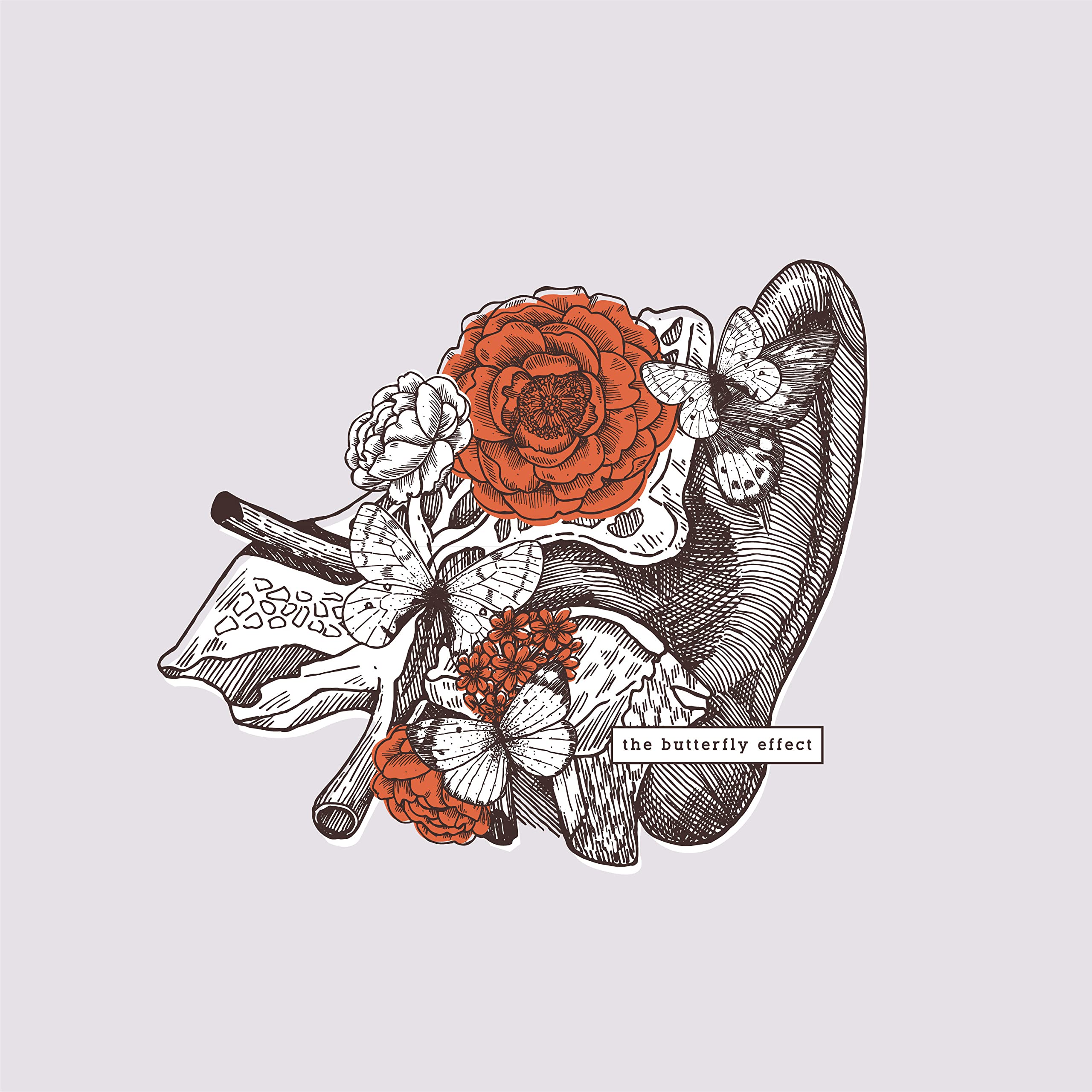 the butterfly effect