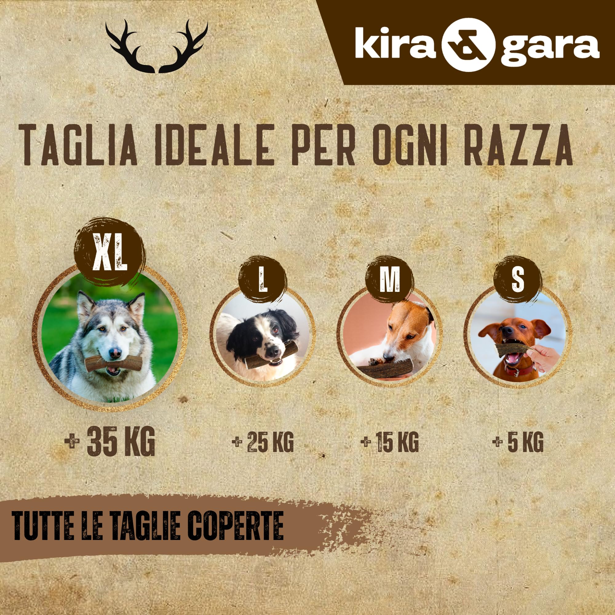 Corno di Cervo Naturale per Cani | Masticatore Dentale Duraturo | Origine Naturale, Senza Additivi | Kira&Gara® (XL - 200-240g, Pack de 1)