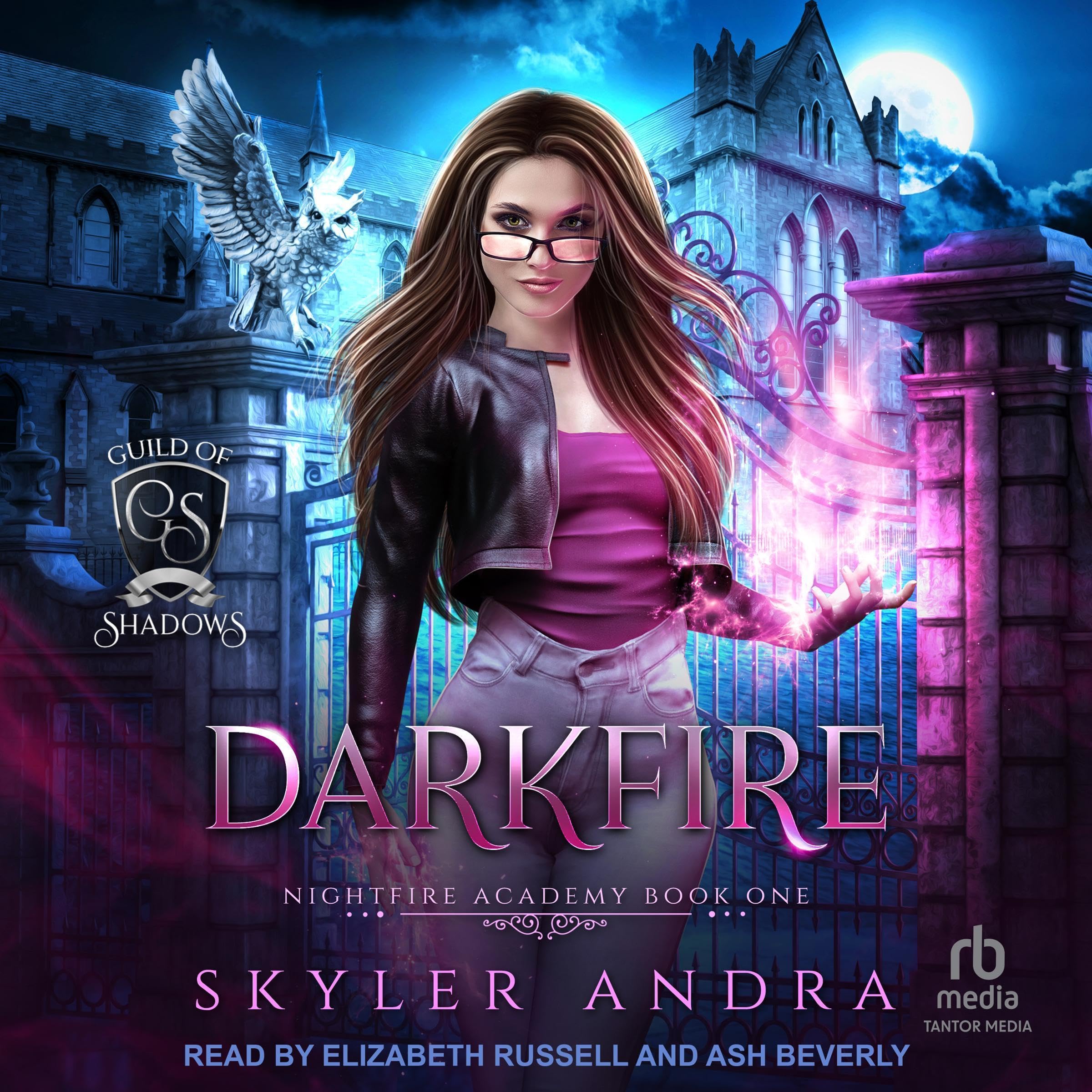 Cover art for Darkfire
