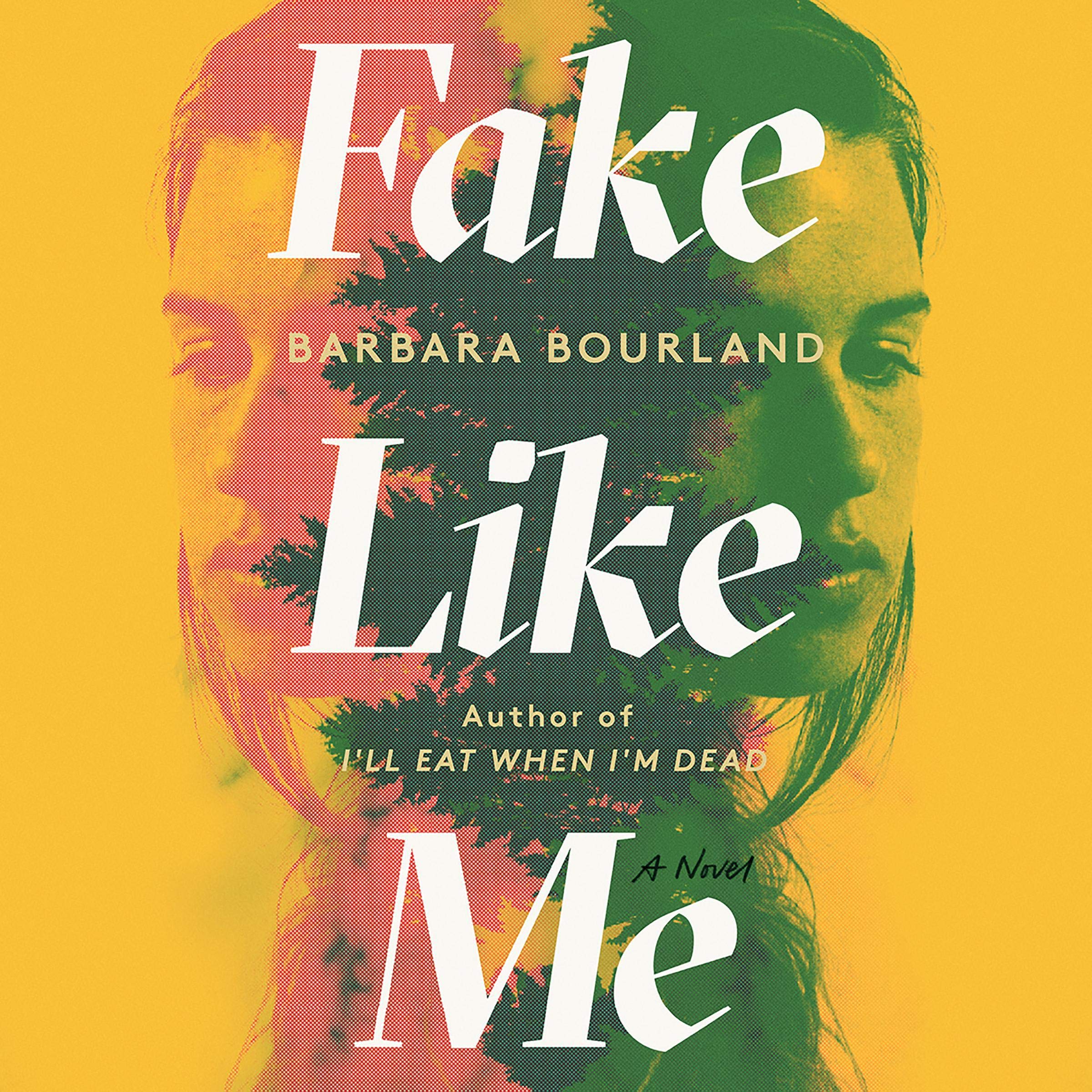 Cover art for Fake Like Me